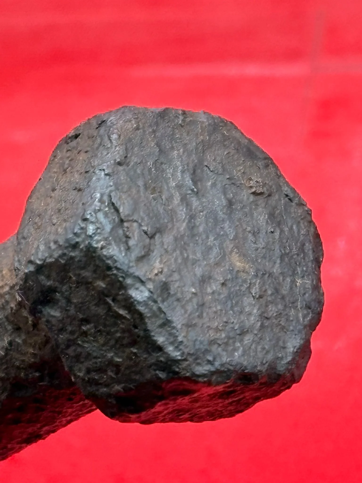 WhatsApp Image 2025-11-12 at 13.11.46 (2).jpeg