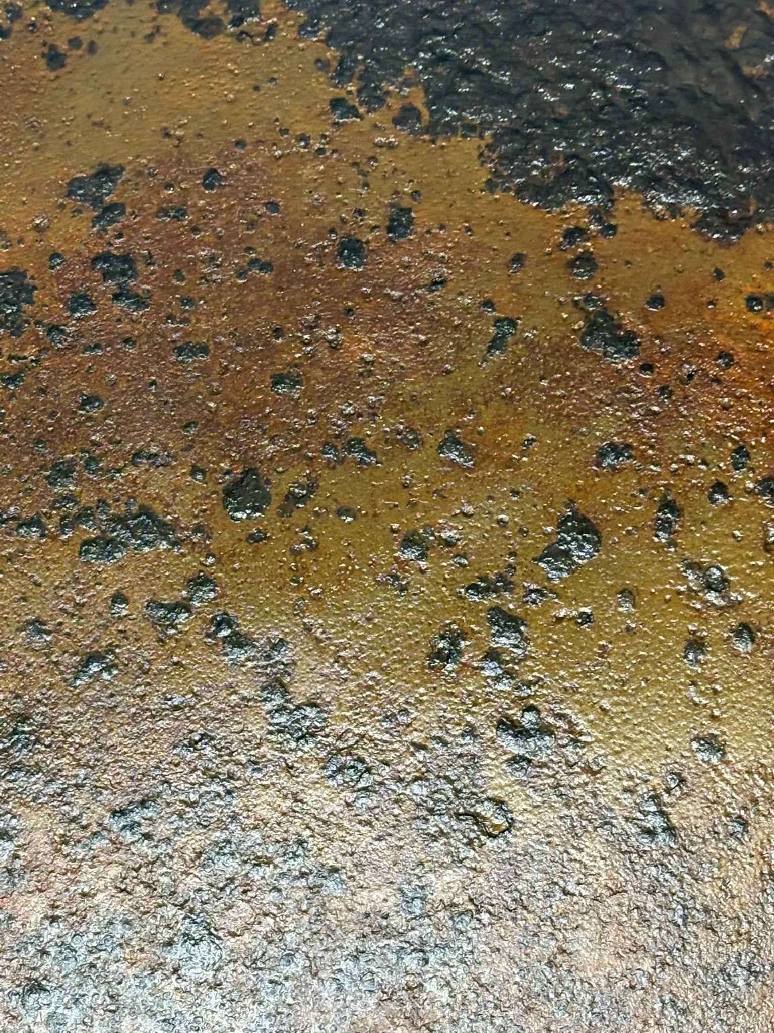 WhatsApp Image 2025-10-27 at 15.59.49 (6).jpeg