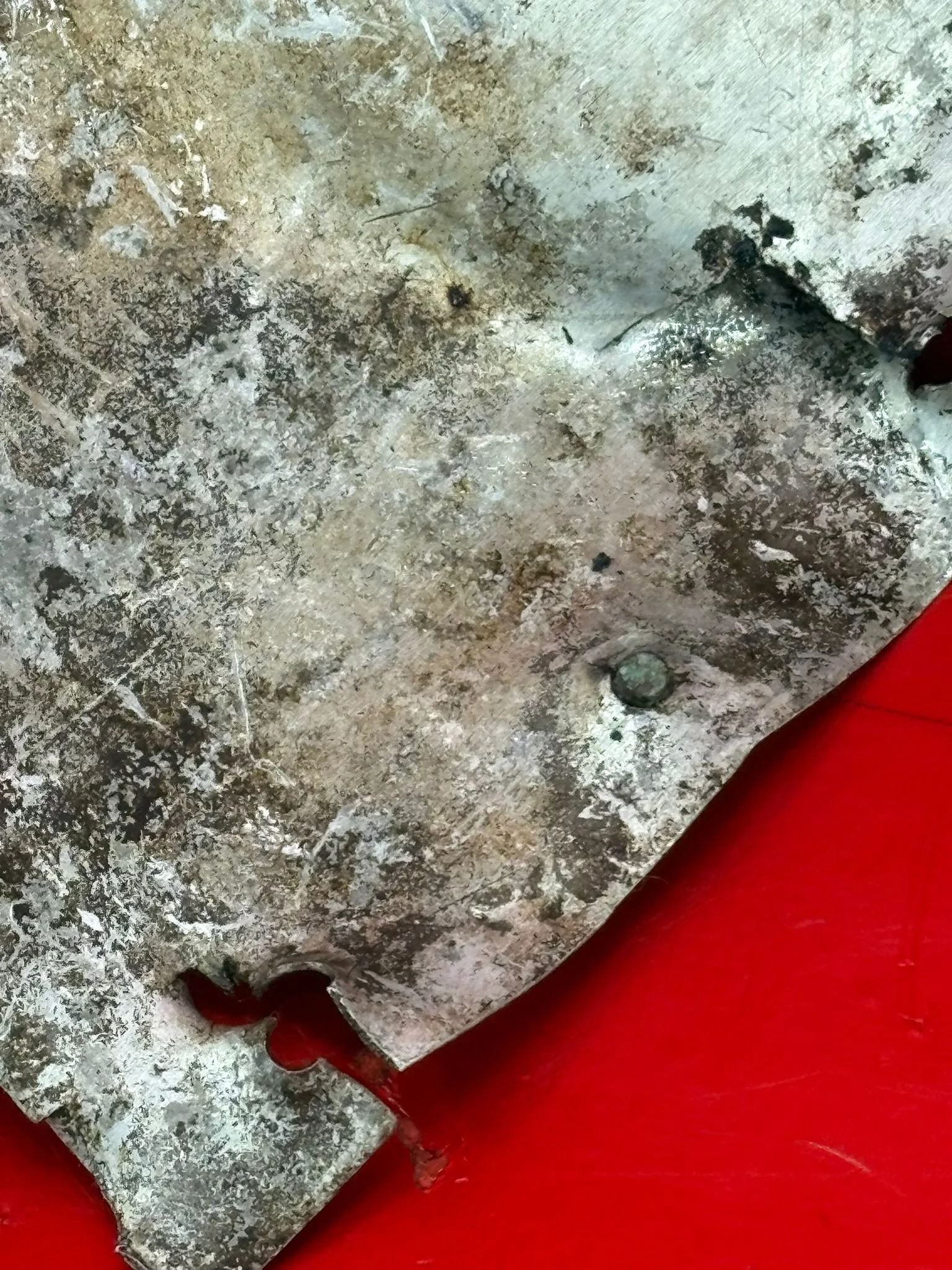 WhatsApp Image 2026-02-10 at 11.58.08 (5).jpeg