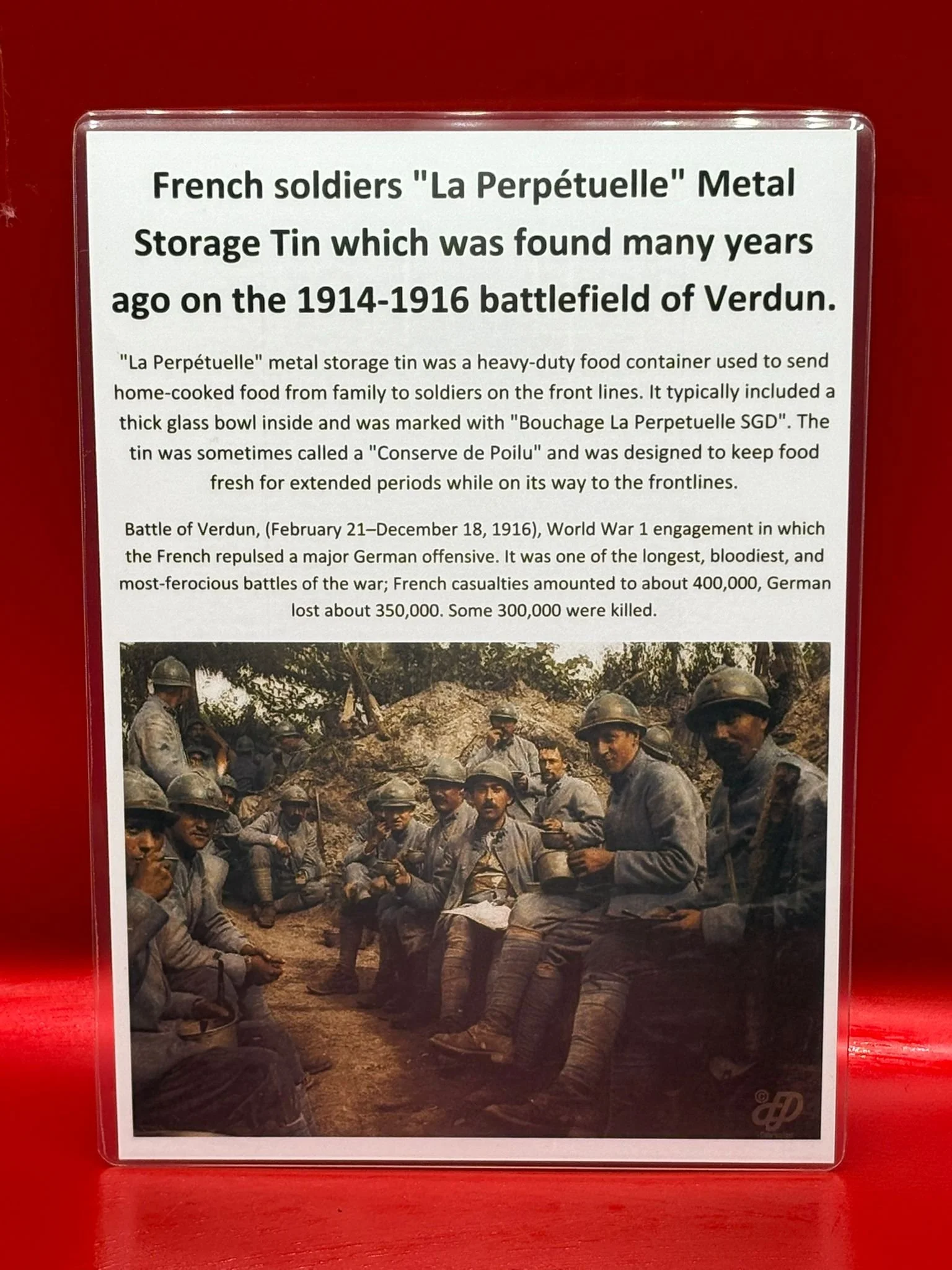 WhatsApp Image 2025-11-12 at 13.15.20 (8).jpeg