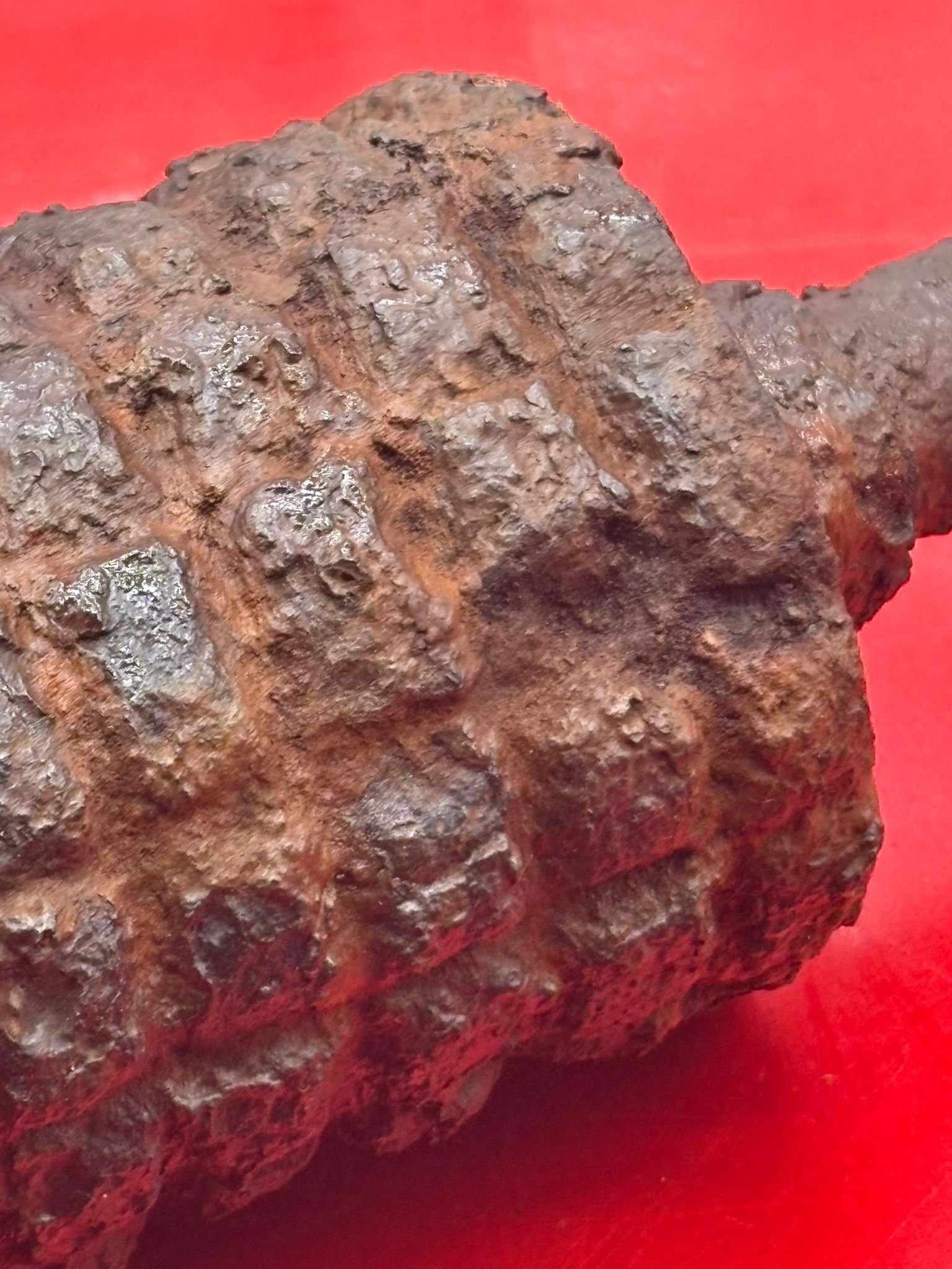 WhatsApp Image 2025-11-12 at 15.05.01 (3).jpeg