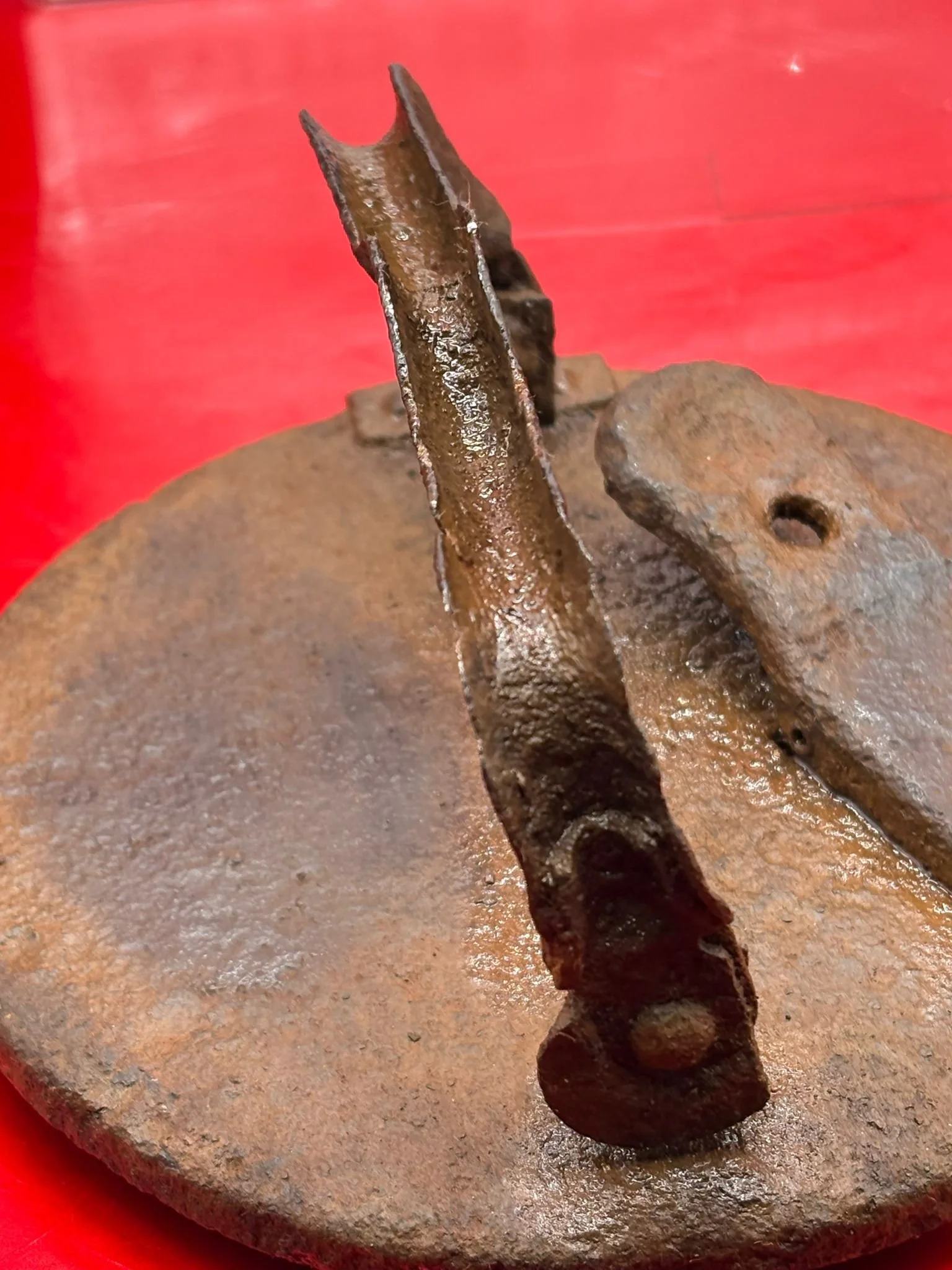 WhatsApp Image 2025-11-26 at 14.54.11 (3).jpeg