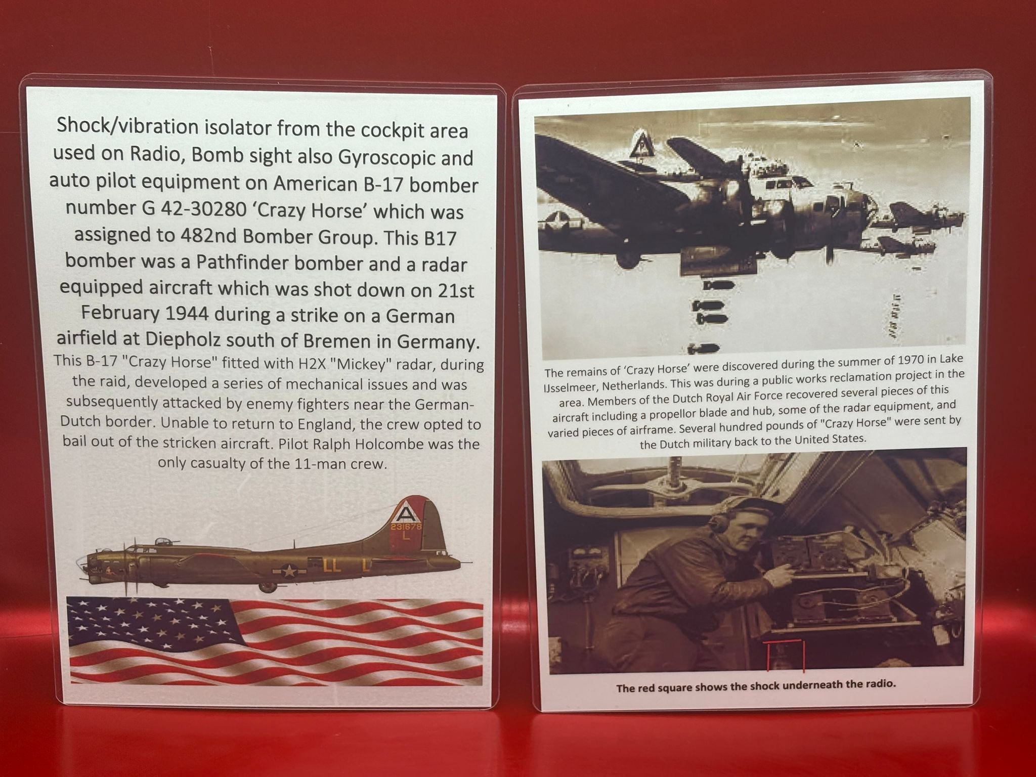 WhatsApp Image 2026-02-13 at 16.31.53 (6).jpeg