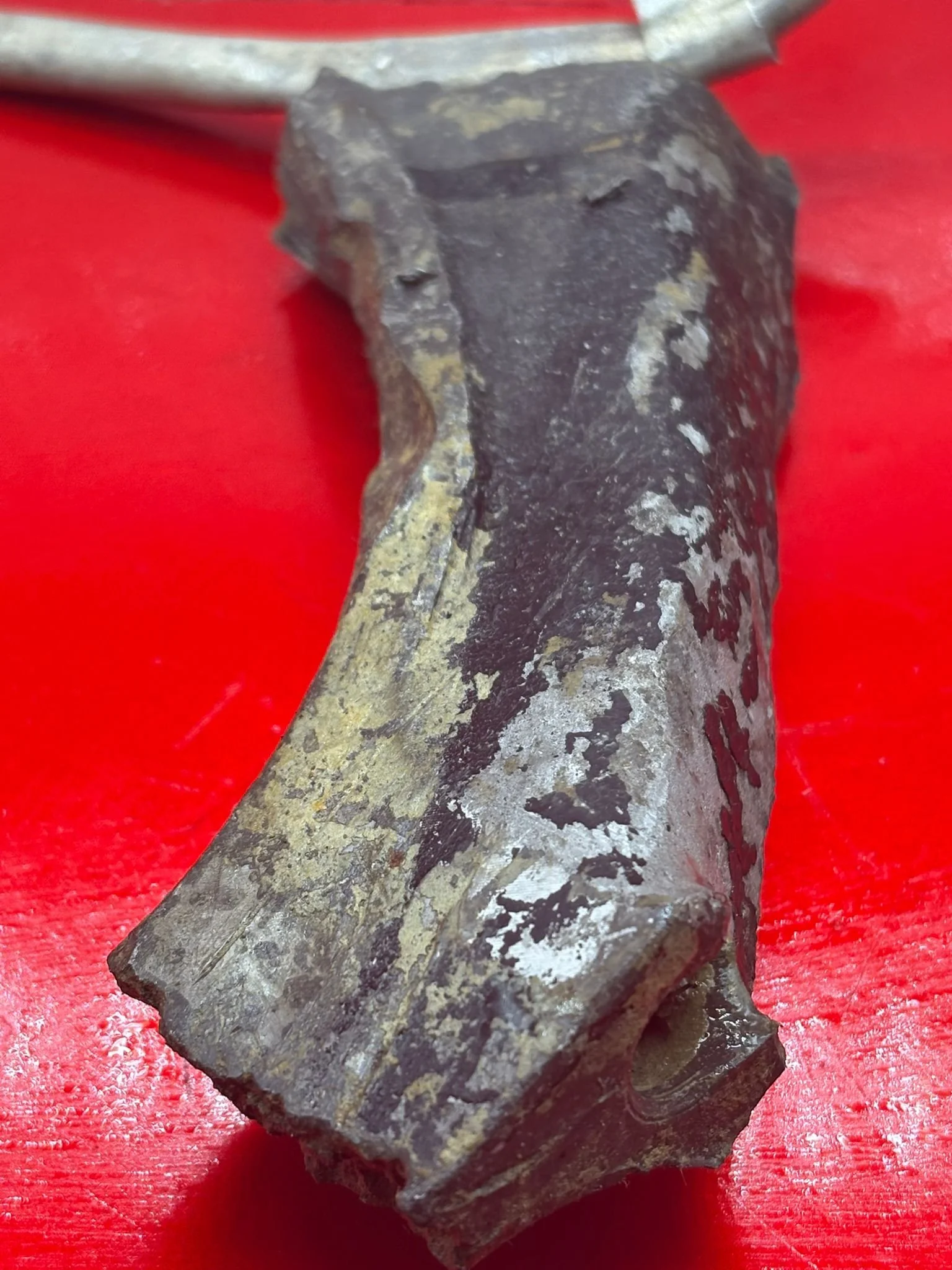 WhatsApp Image 2026-03-12 at 14.21.38 (2).jpeg