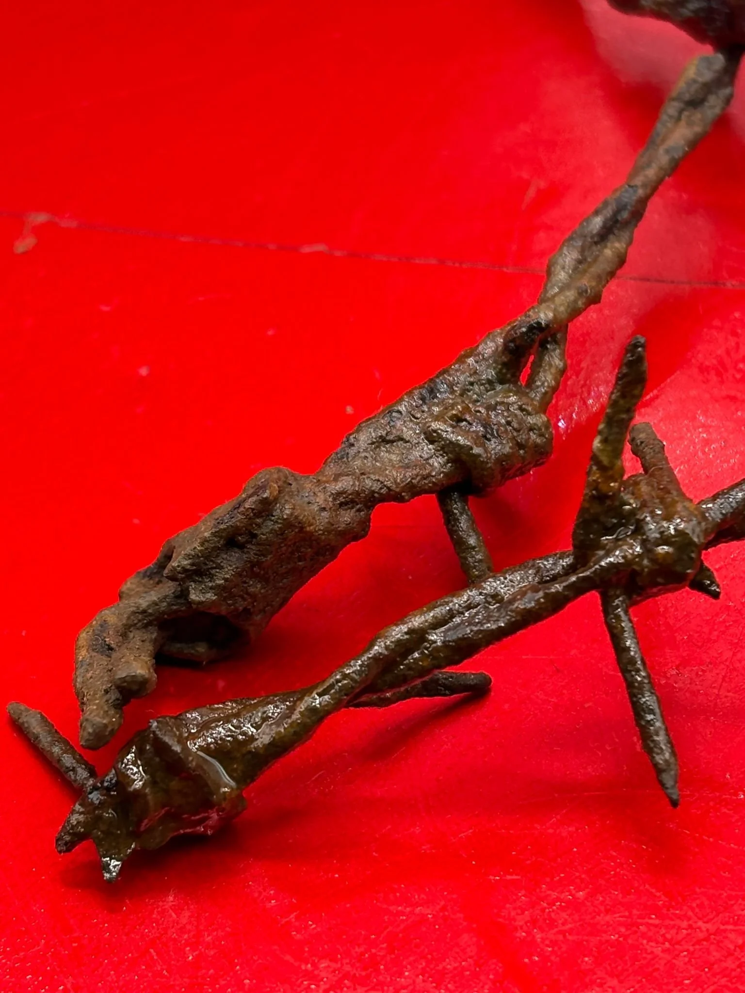 WhatsApp Image 2025-11-12 at 13.17.10 (5).jpeg