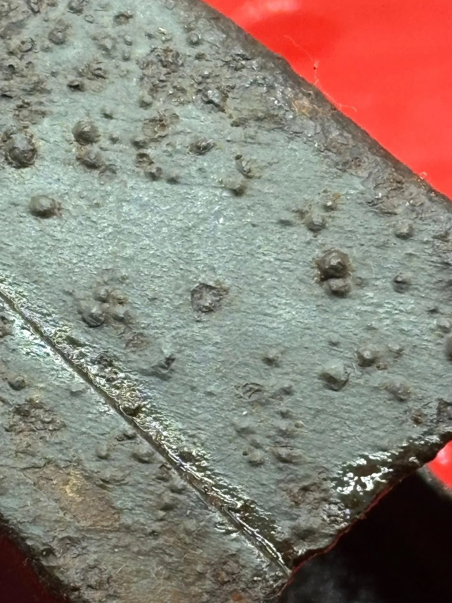 WhatsApp Image 2026-02-10 at 12.09.32 (3).jpeg