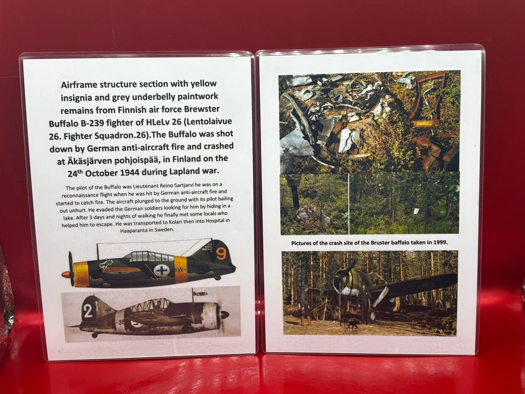 WhatsApp Image 2025-12-09 at 14.05.43 (2).jpeg