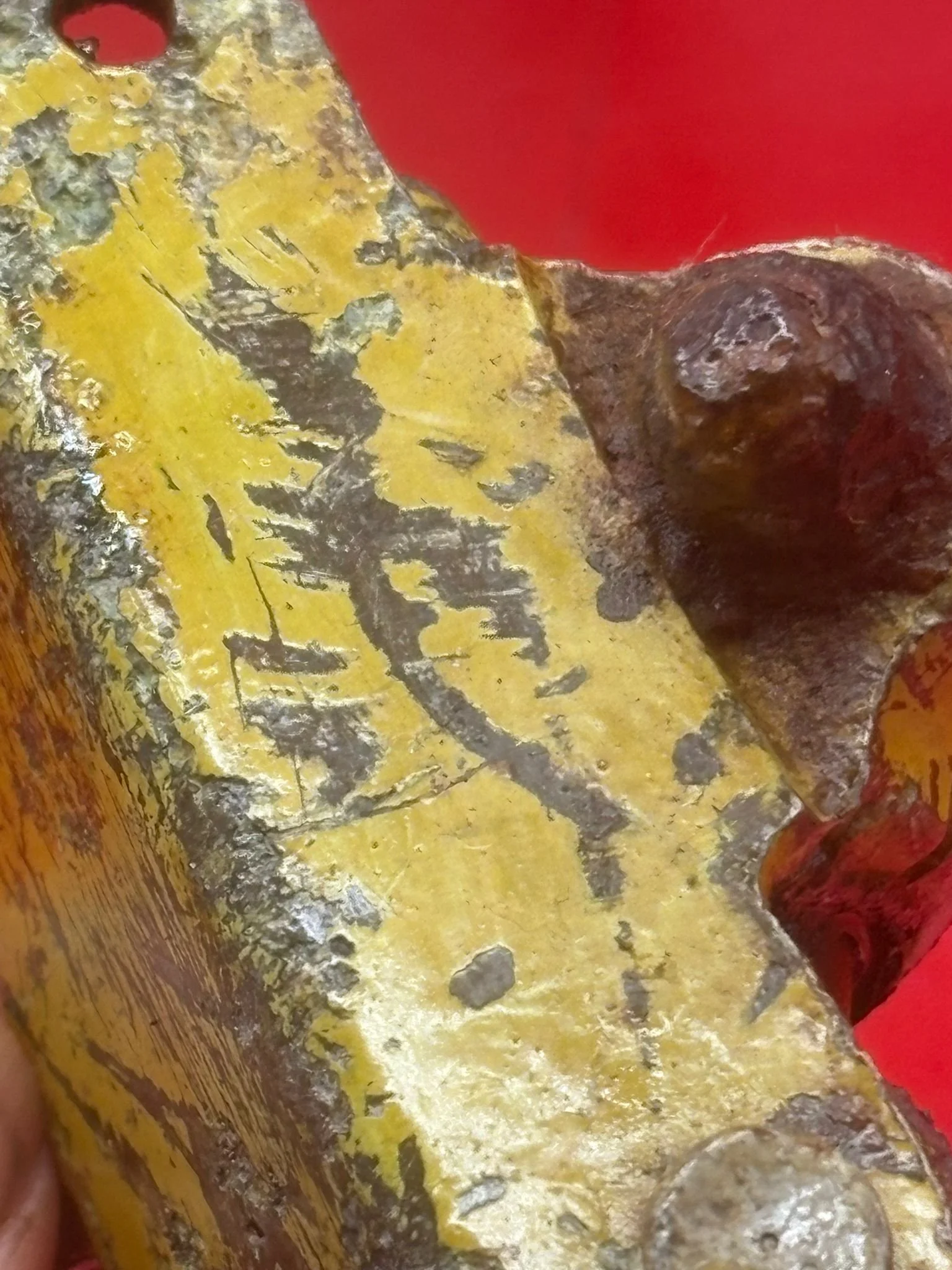 WhatsApp Image 2026-02-13 at 16.15.03 (2).jpeg