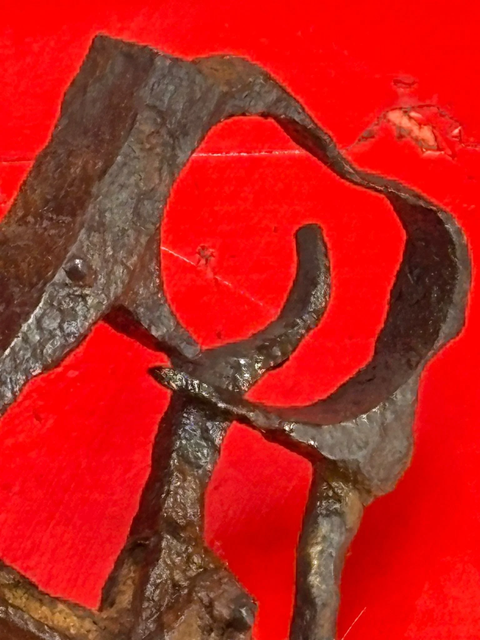 WhatsApp Image 2025-10-24 at 16.02.28.jpeg