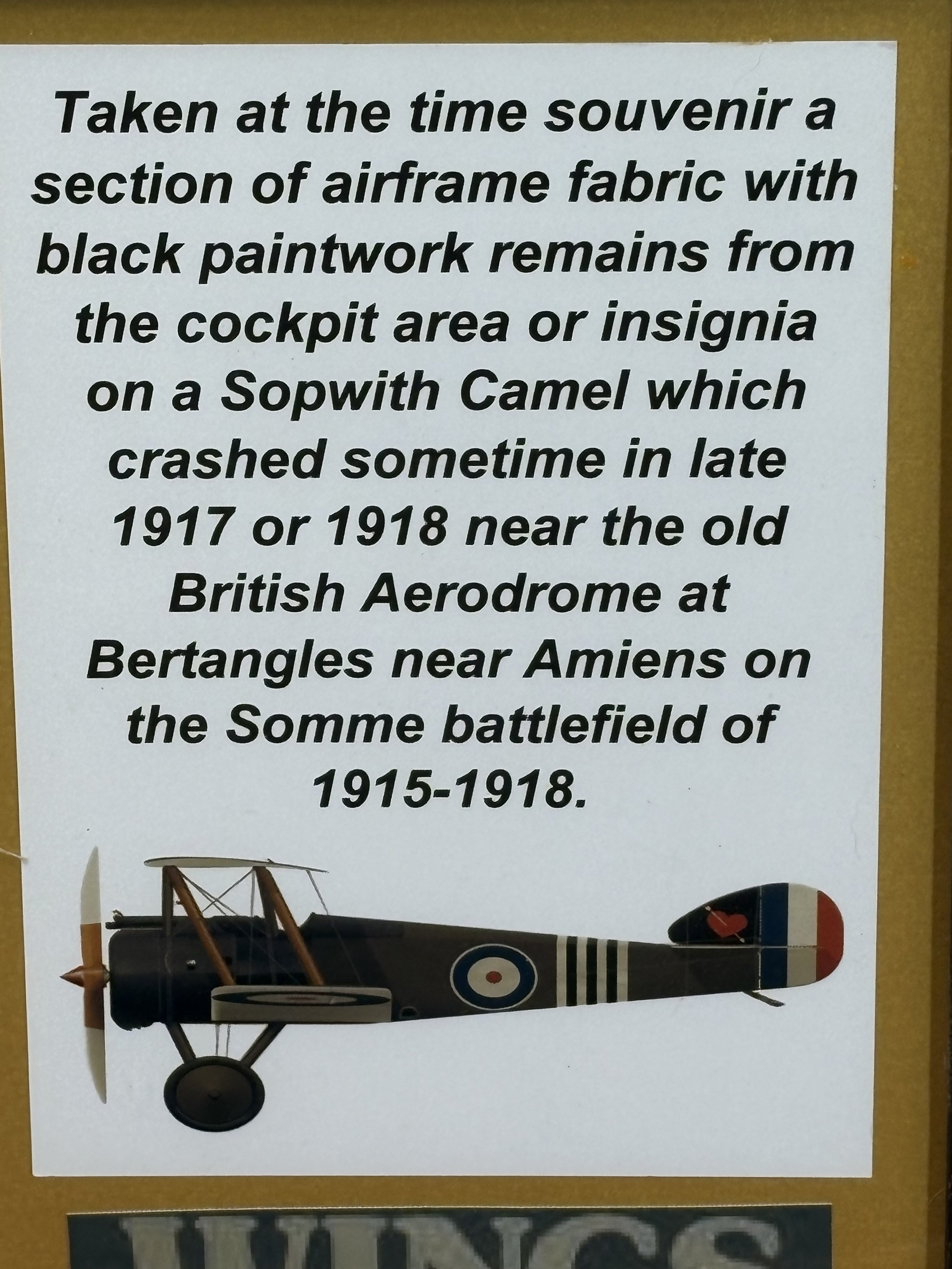 192.JPG