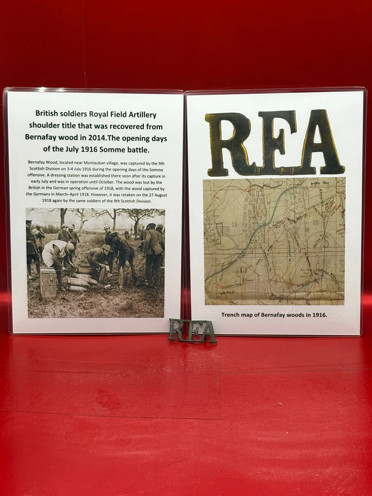 WhatsApp Image 2025-11-12 at 14.58.27.jpeg