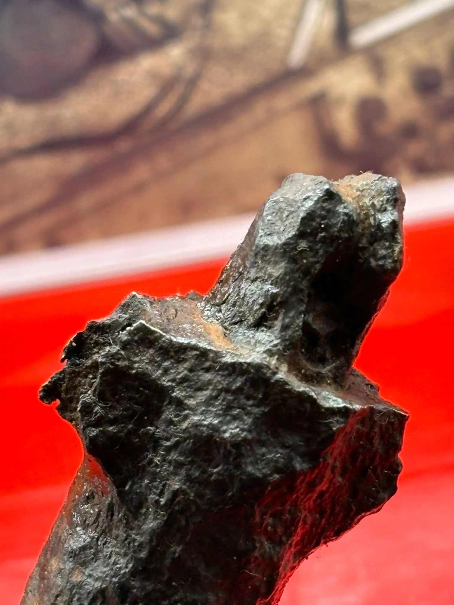 WhatsApp Image 2025-10-22 at 18.16.59 (6).jpeg