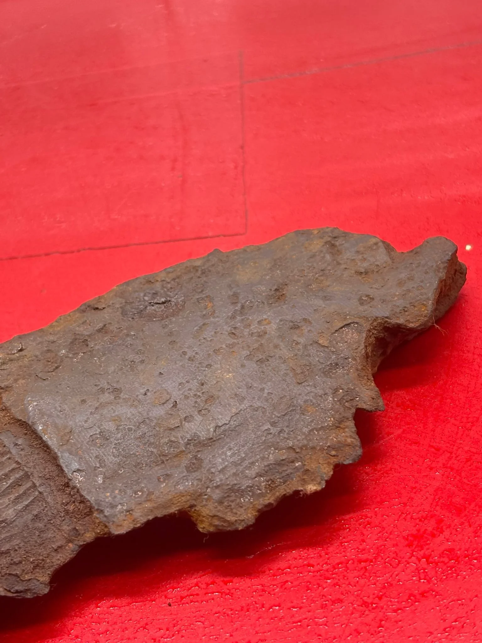 WhatsApp Image 2025-11-18 at 15.10.49.jpeg