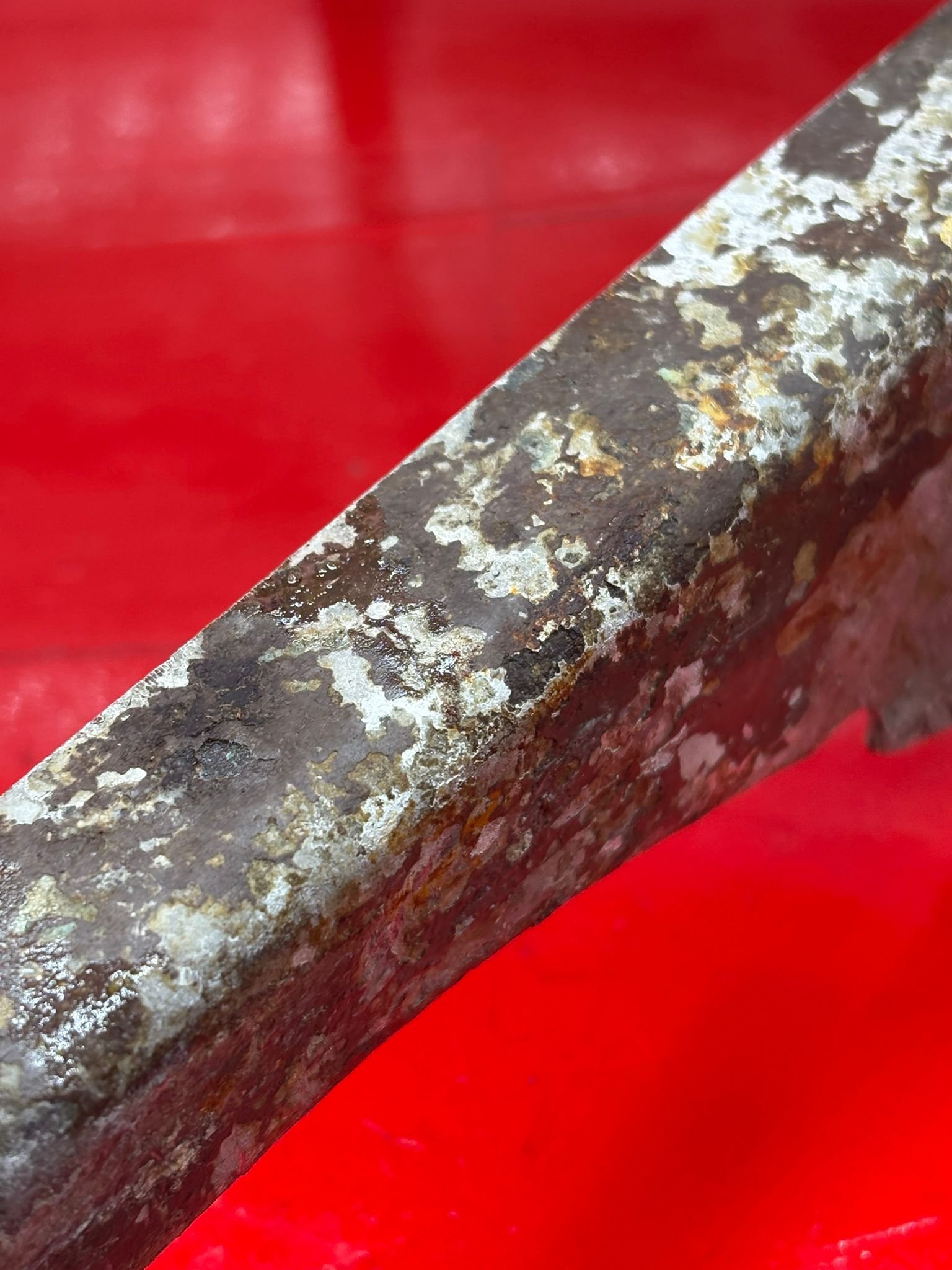 WhatsApp Image 2026-02-10 at 14.59.59 (3).jpeg