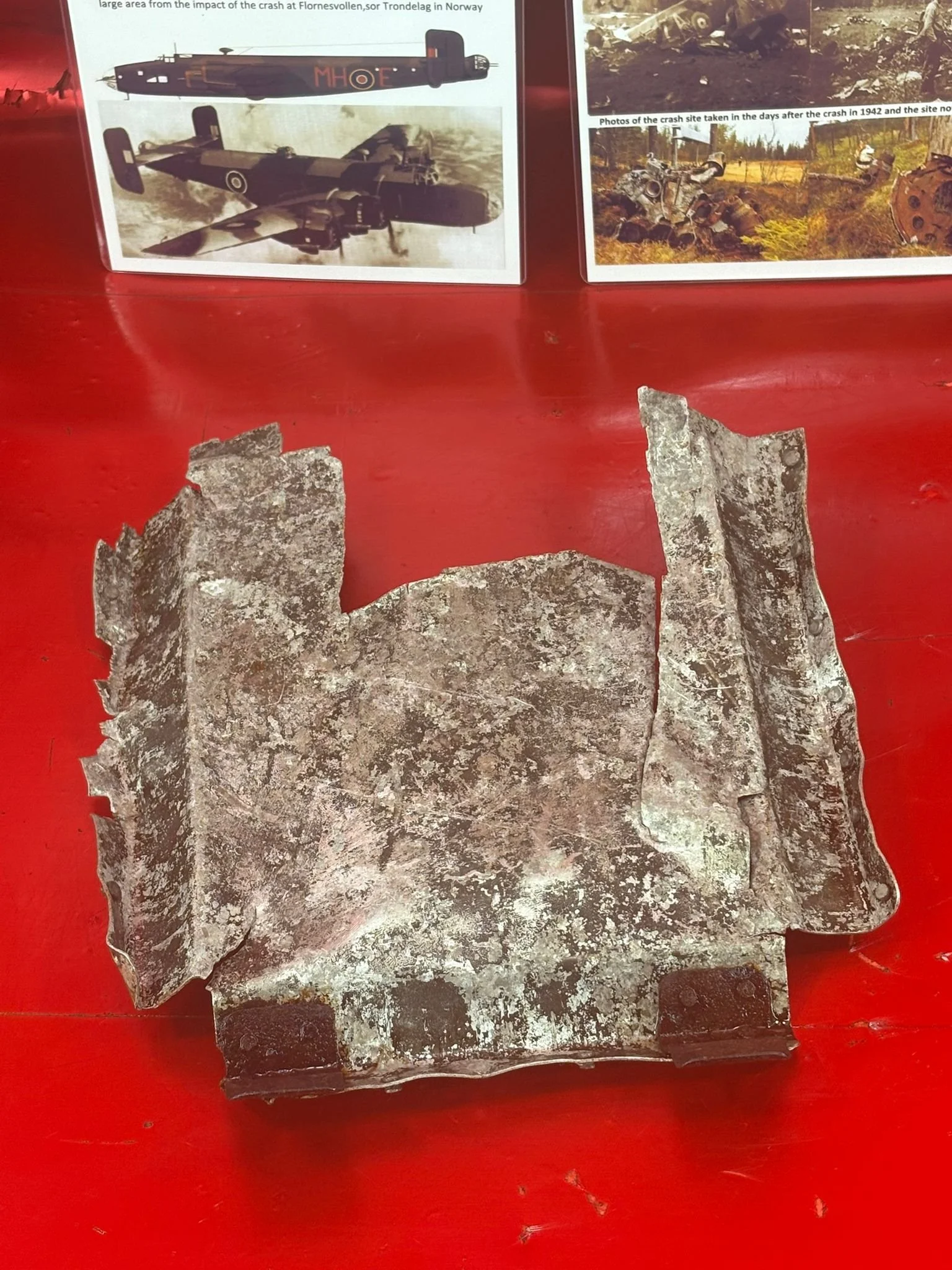 WhatsApp Image 2026-02-13 at 16.26.18 (1).jpeg