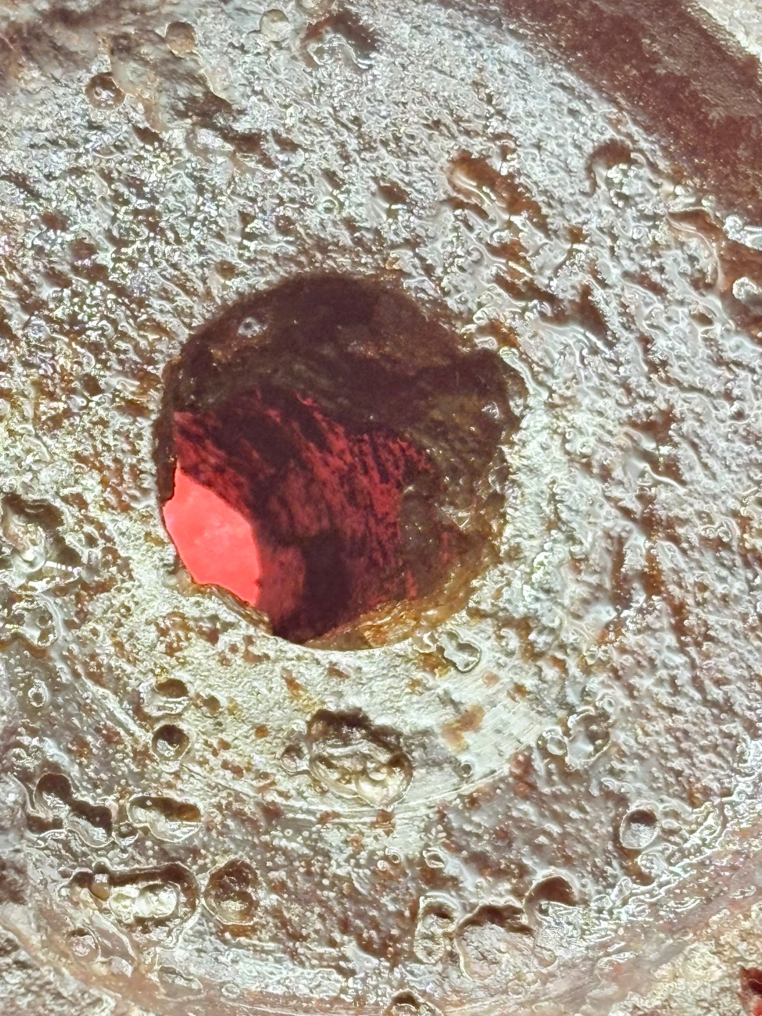 WhatsApp Image 2025-12-08 at 16.04.09 (1).jpeg