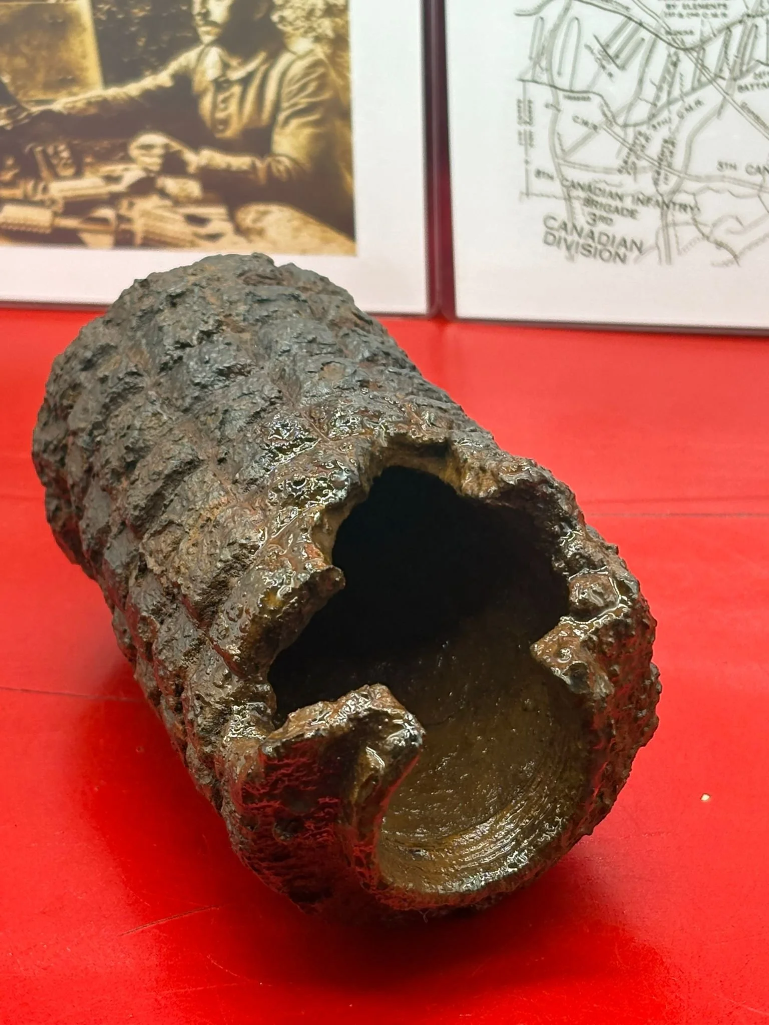 WhatsApp Image 2025-11-12 at 15.05.01.jpeg