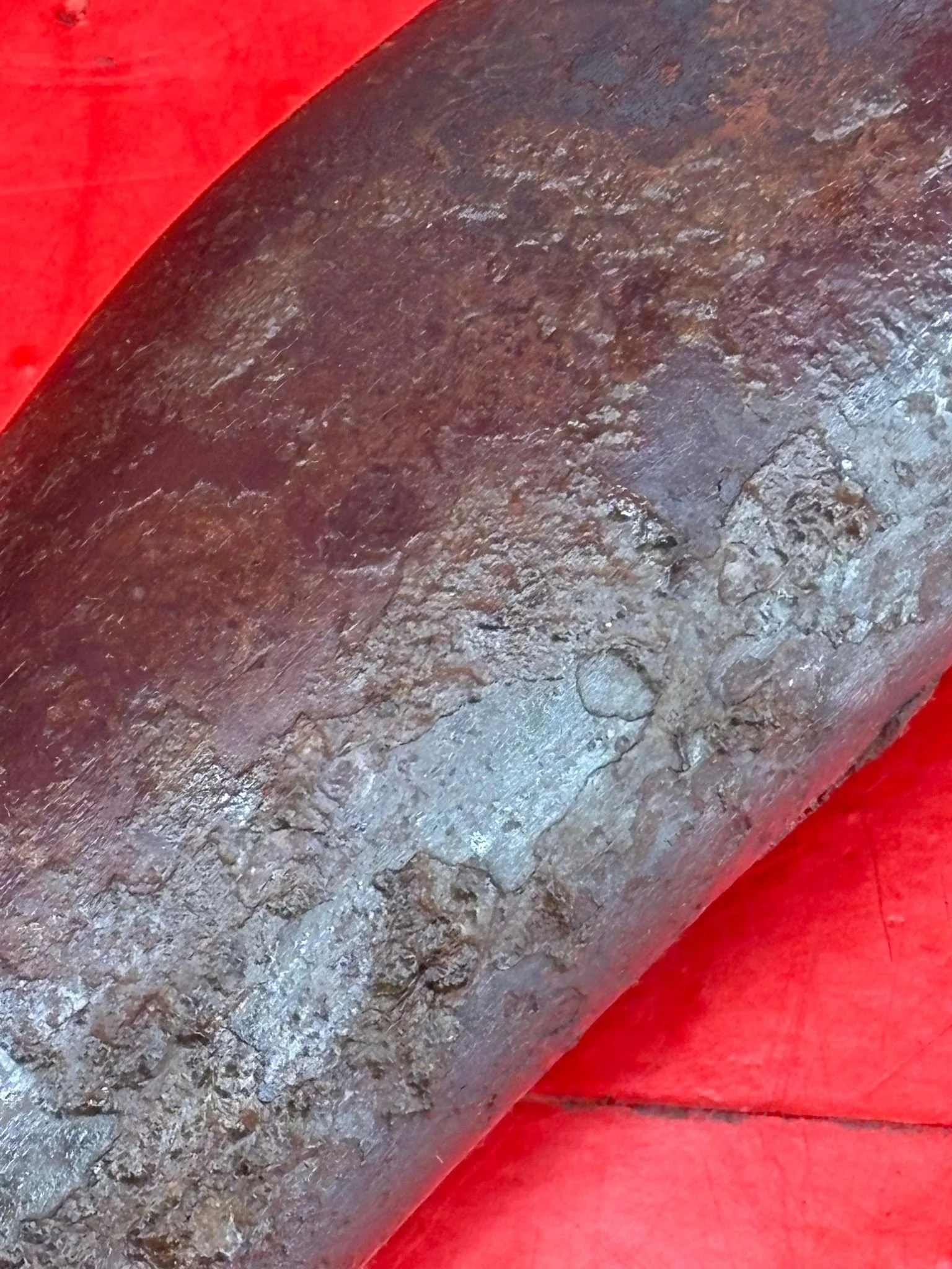 WhatsApp Image 2025-10-27 at 15.24.23 (1).jpeg