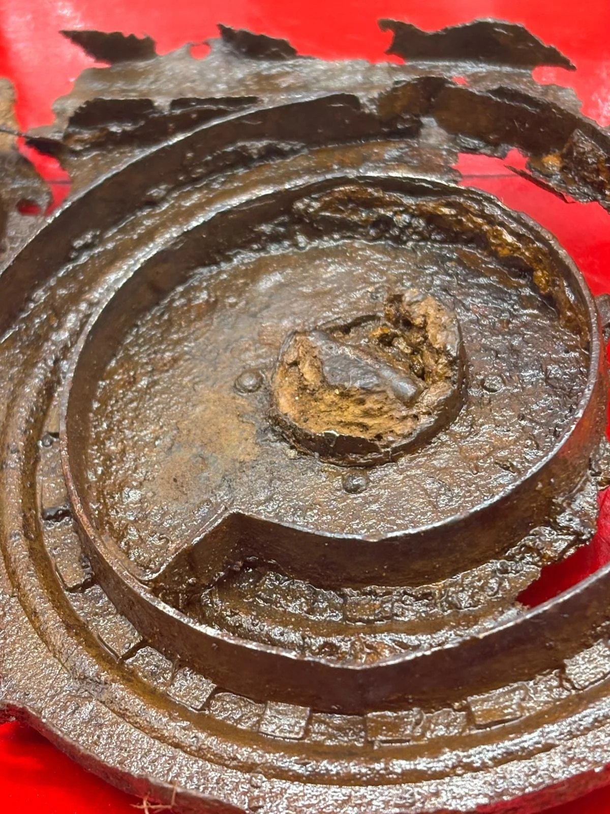 WhatsApp Image 2026-02-10 at 14.58.48 (1).jpeg