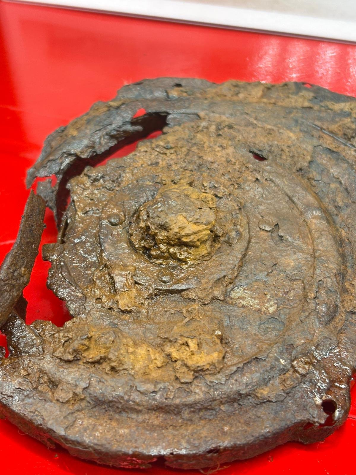 WhatsApp Image 2026-02-10 at 14.58.47 (2).jpeg