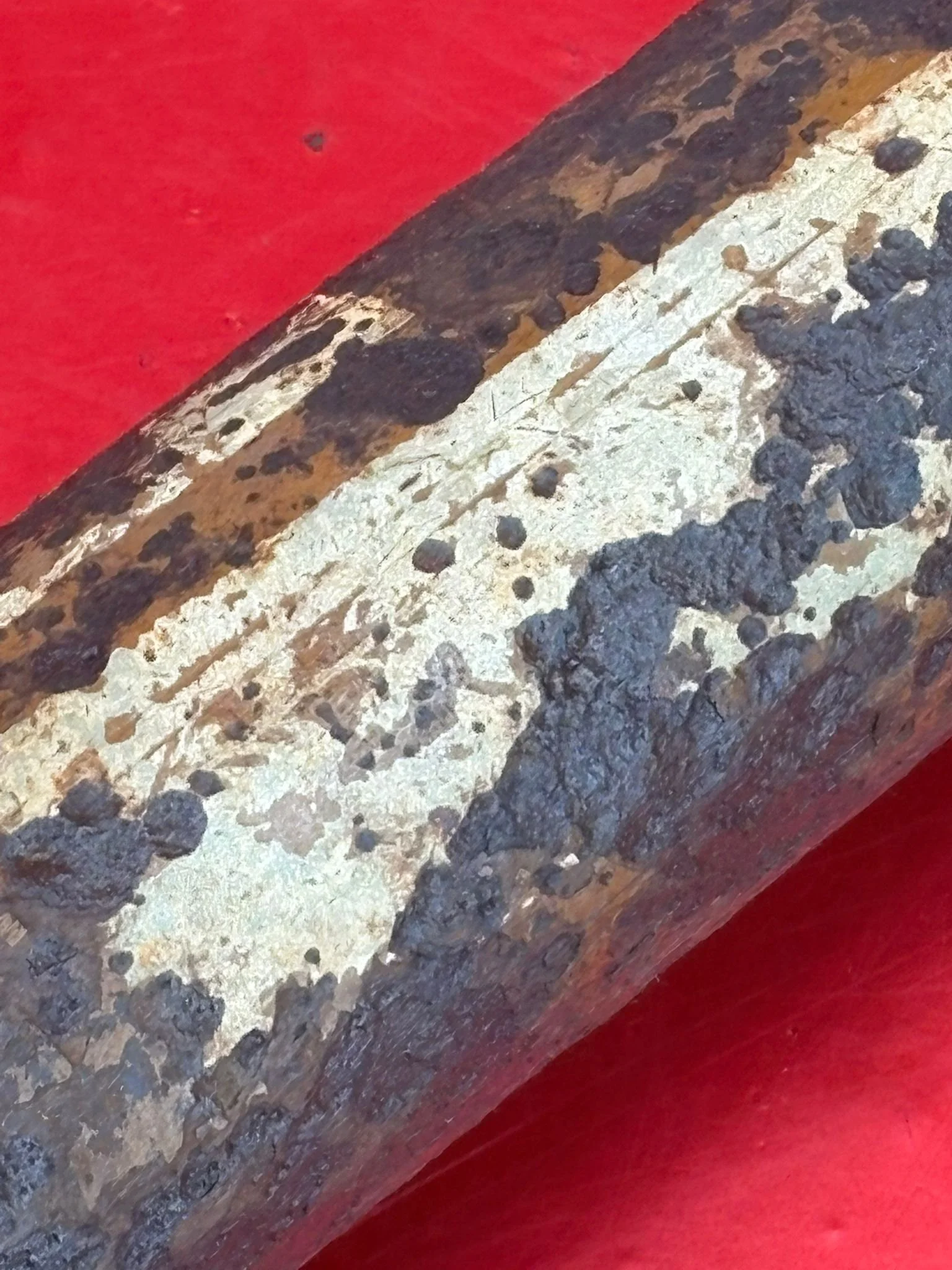 WhatsApp Image 2025-10-27 at 15.37.33 (4).jpeg