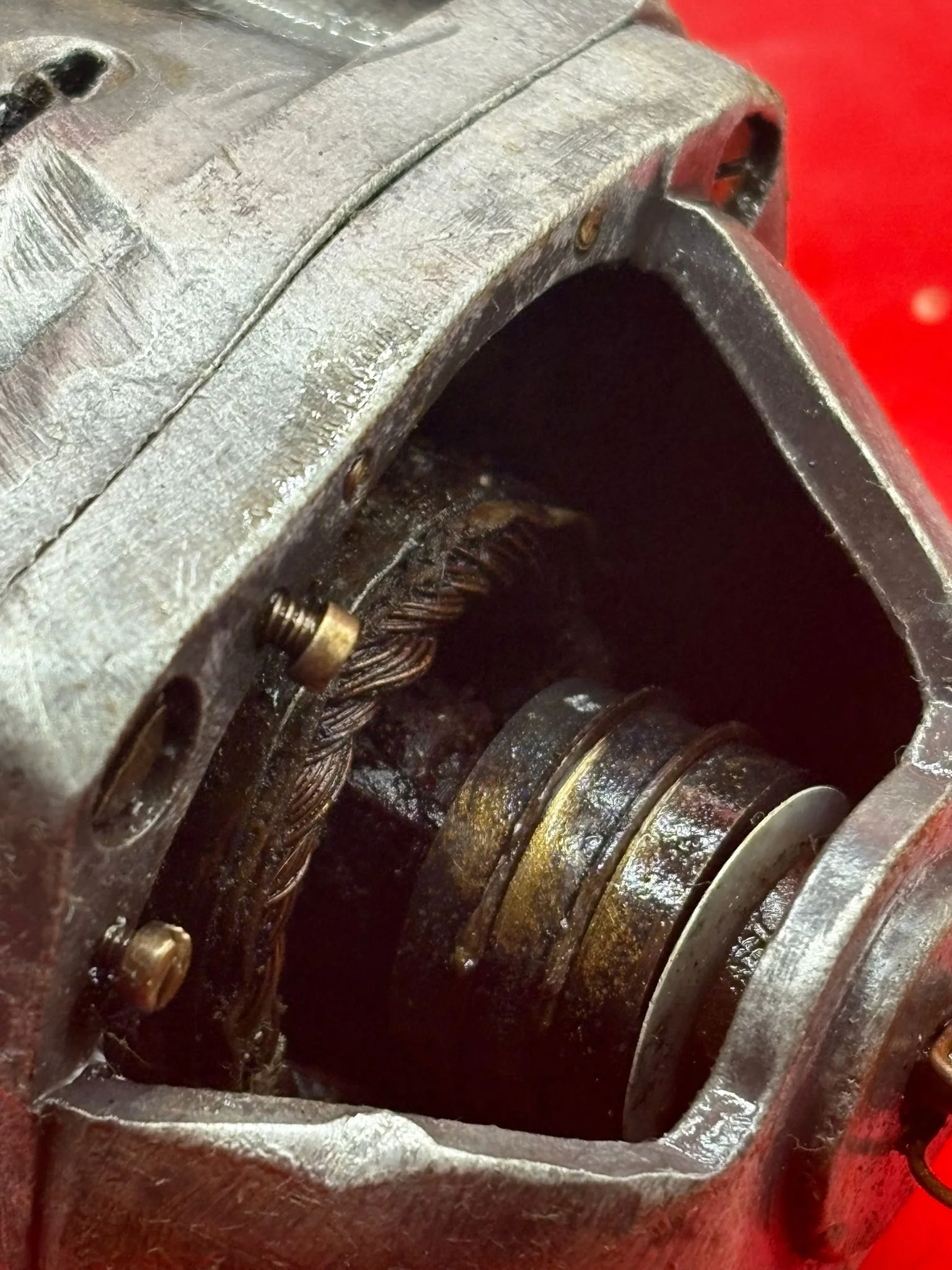 WhatsApp Image 2026-03-12 at 15.21.29 (2).jpeg