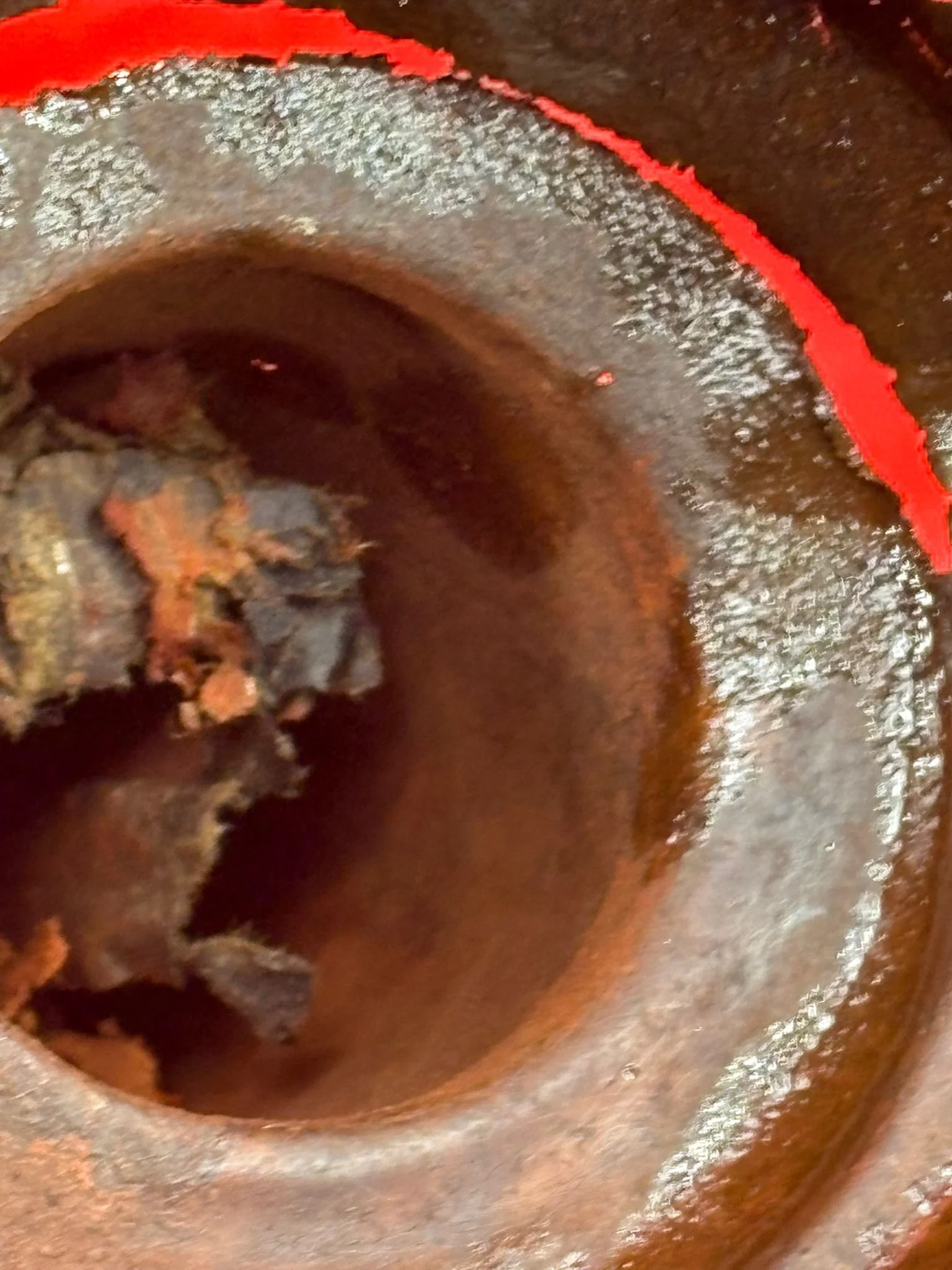 WhatsApp Image 2025-10-24 at 16.20.05 (5).jpeg