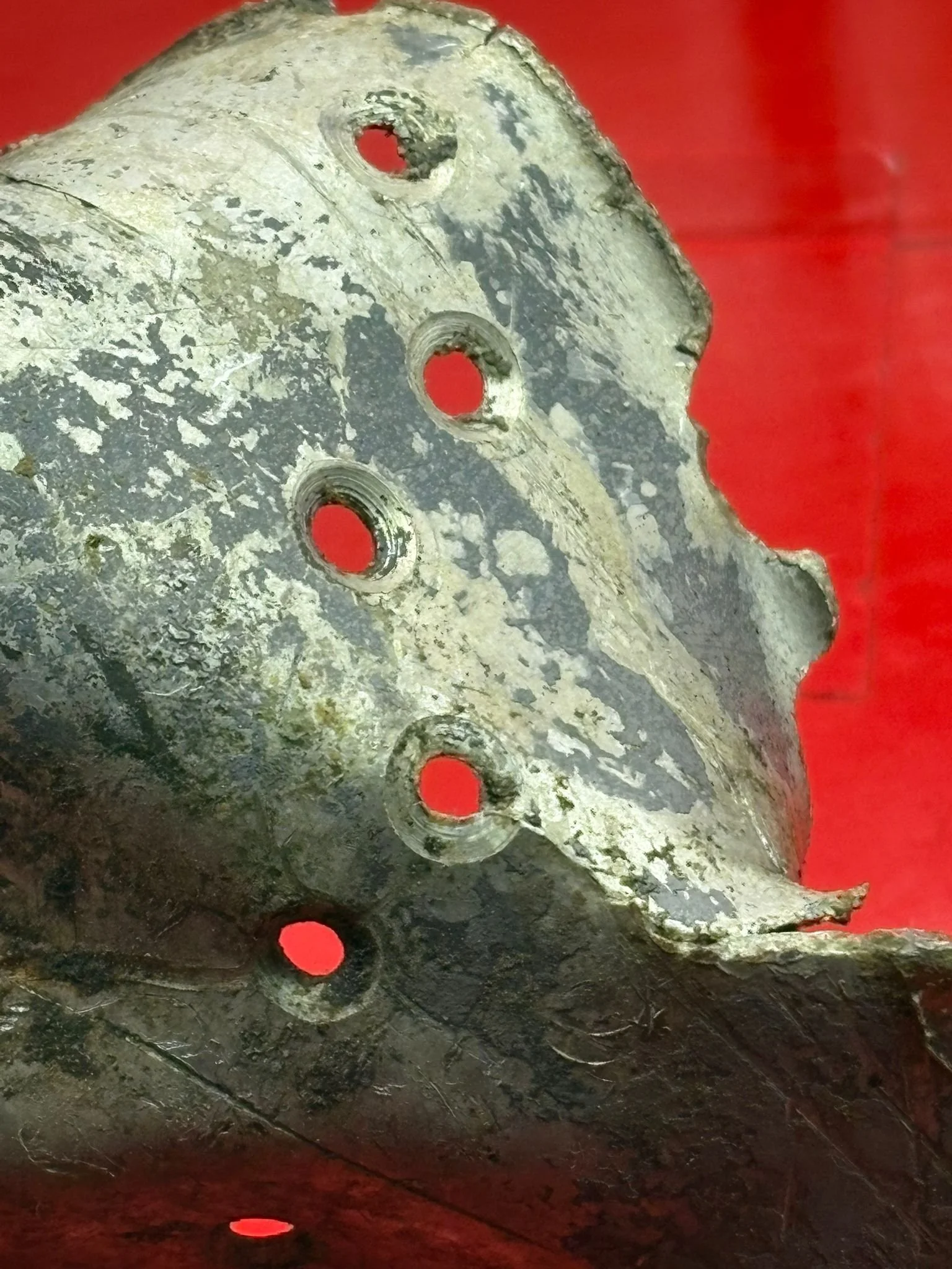 WhatsApp Image 2026-02-10 at 11.58.39 (5).jpeg