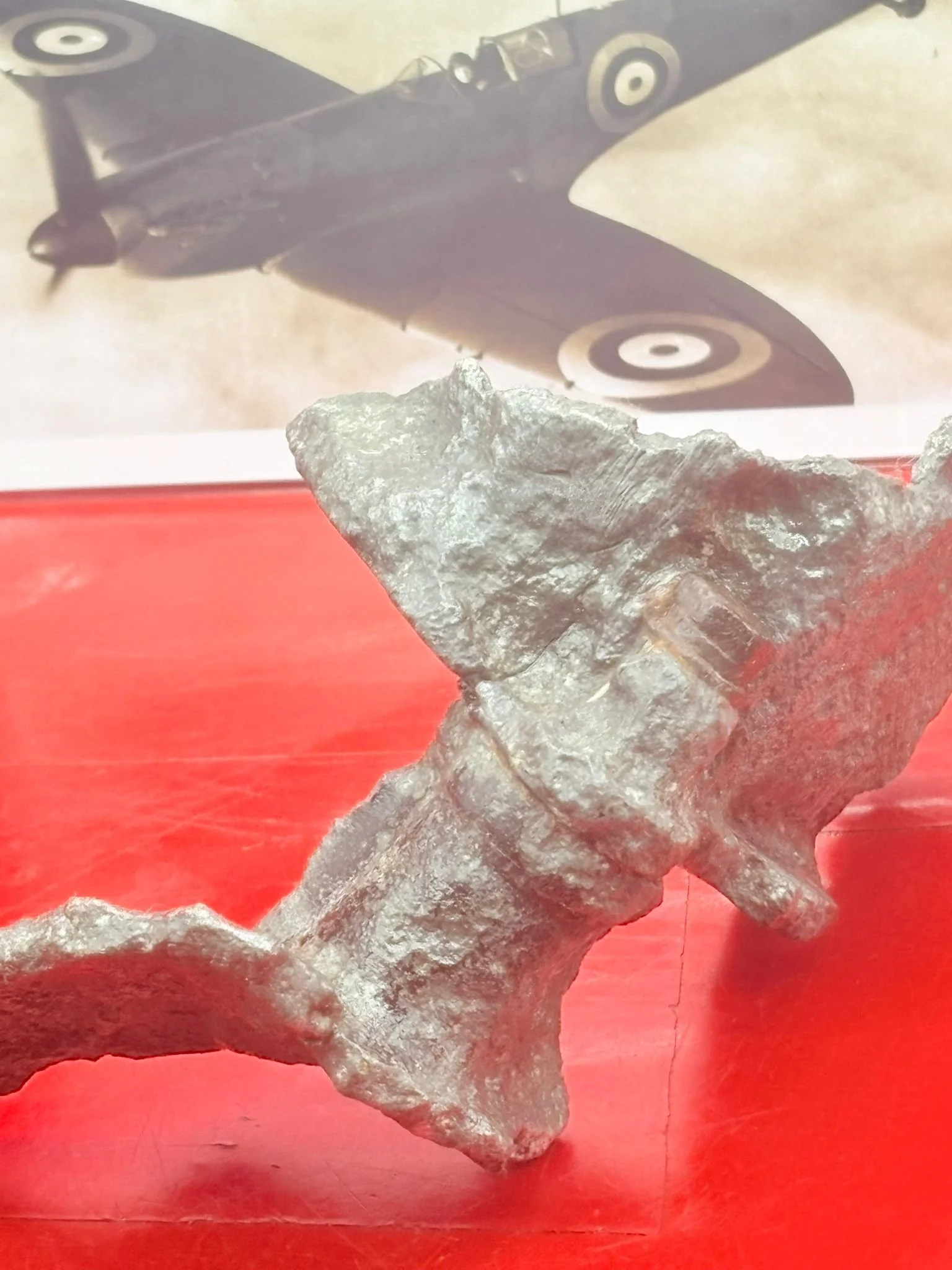 WhatsApp Image 2025-12-08 at 16.42.02 (1).jpeg