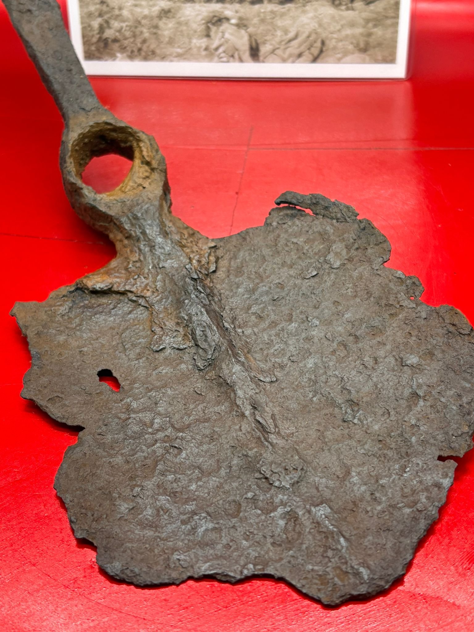 WhatsApp Image 2025-11-12 at 14.55.50 (1).jpeg