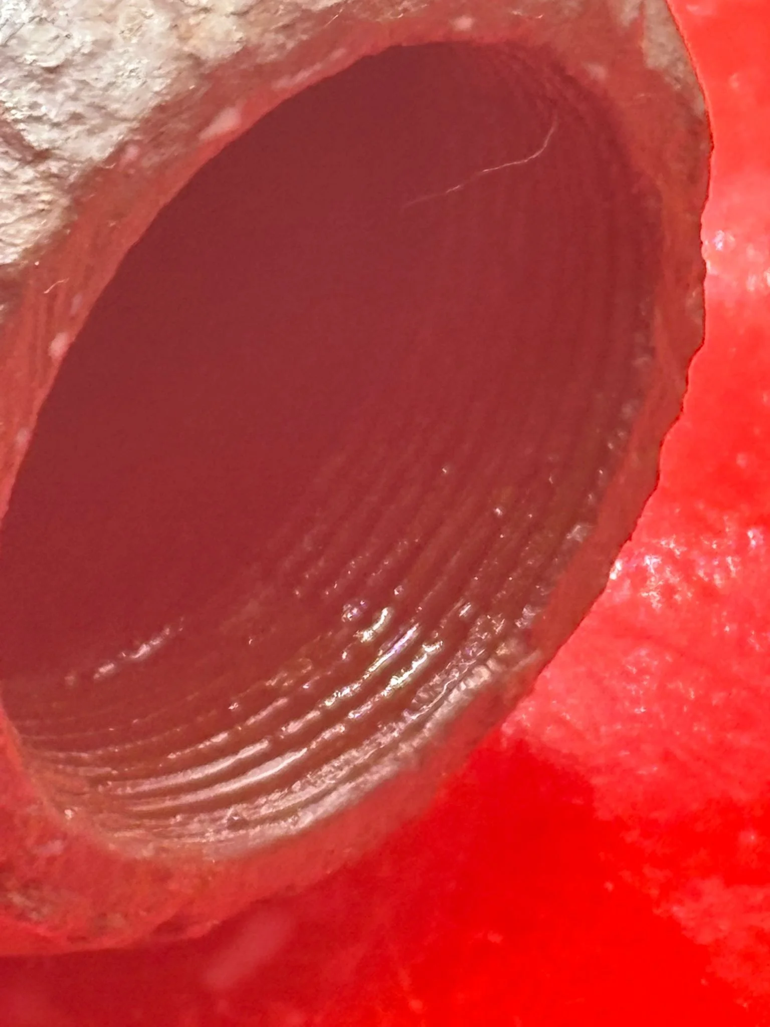 WhatsApp Image 2025-11-16 at 16.11.07.jpeg