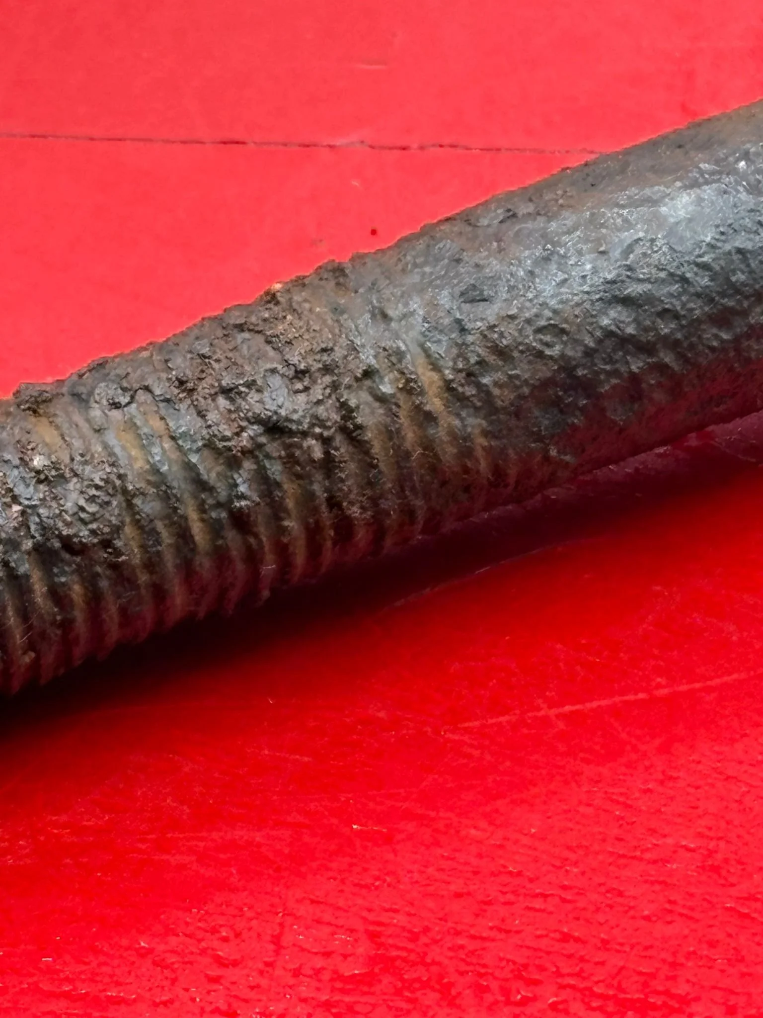 WhatsApp Image 2025-11-12 at 13.11.46 (3).jpeg