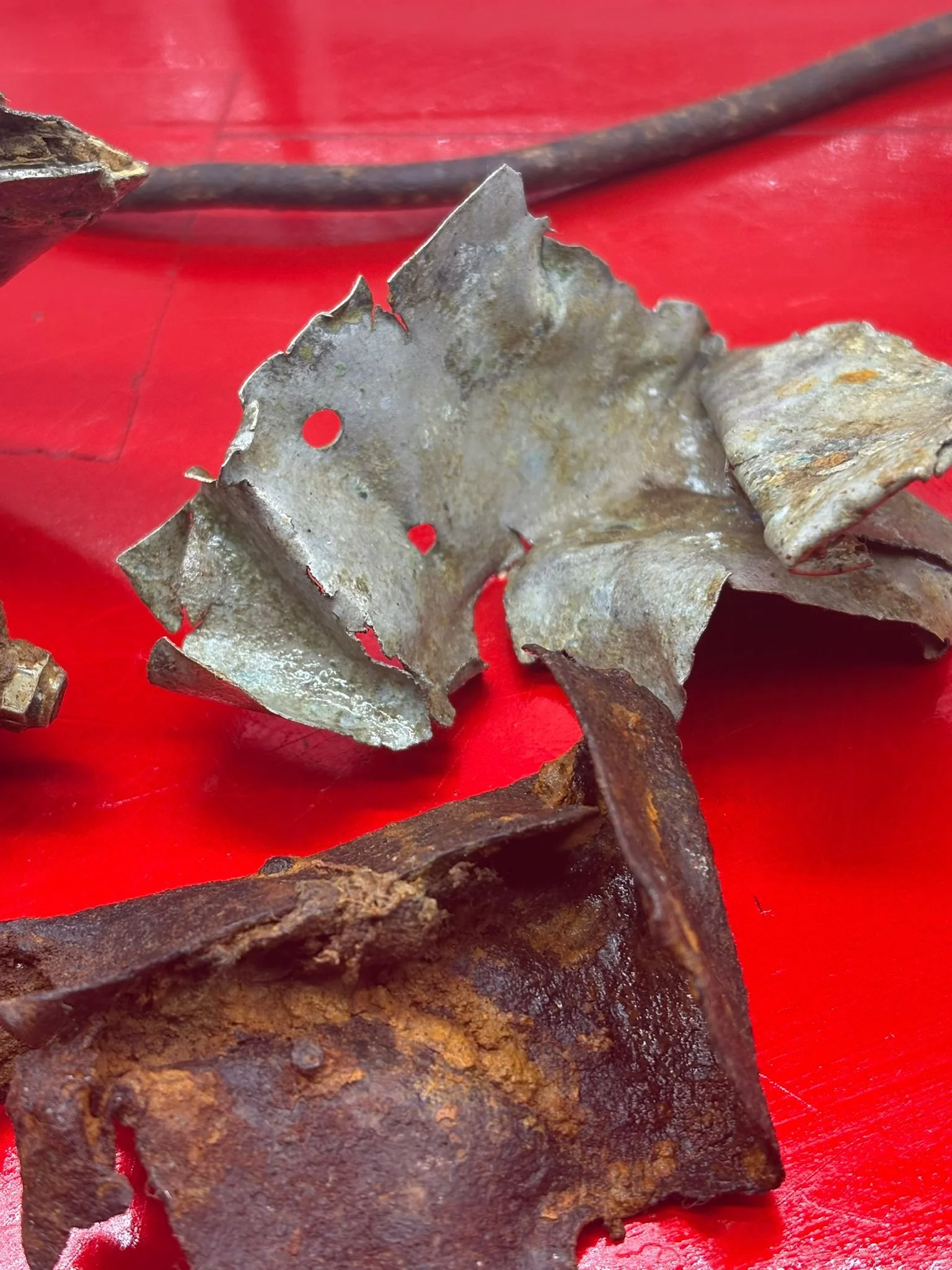 WhatsApp Image 2026-03-12 at 14.21.11 (2).jpeg