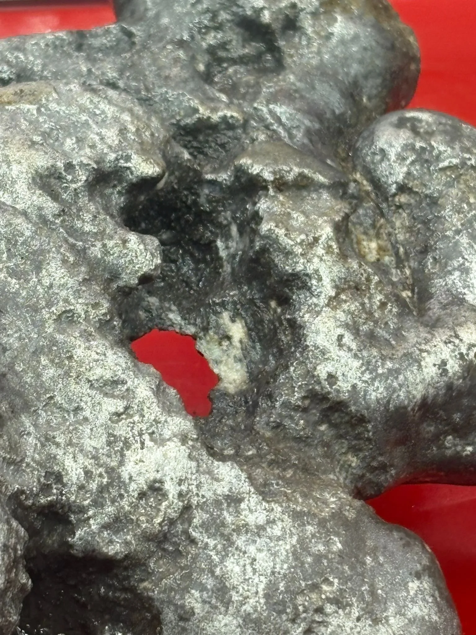 WhatsApp Image 2025-12-09 at 14.09.20 (3).jpeg