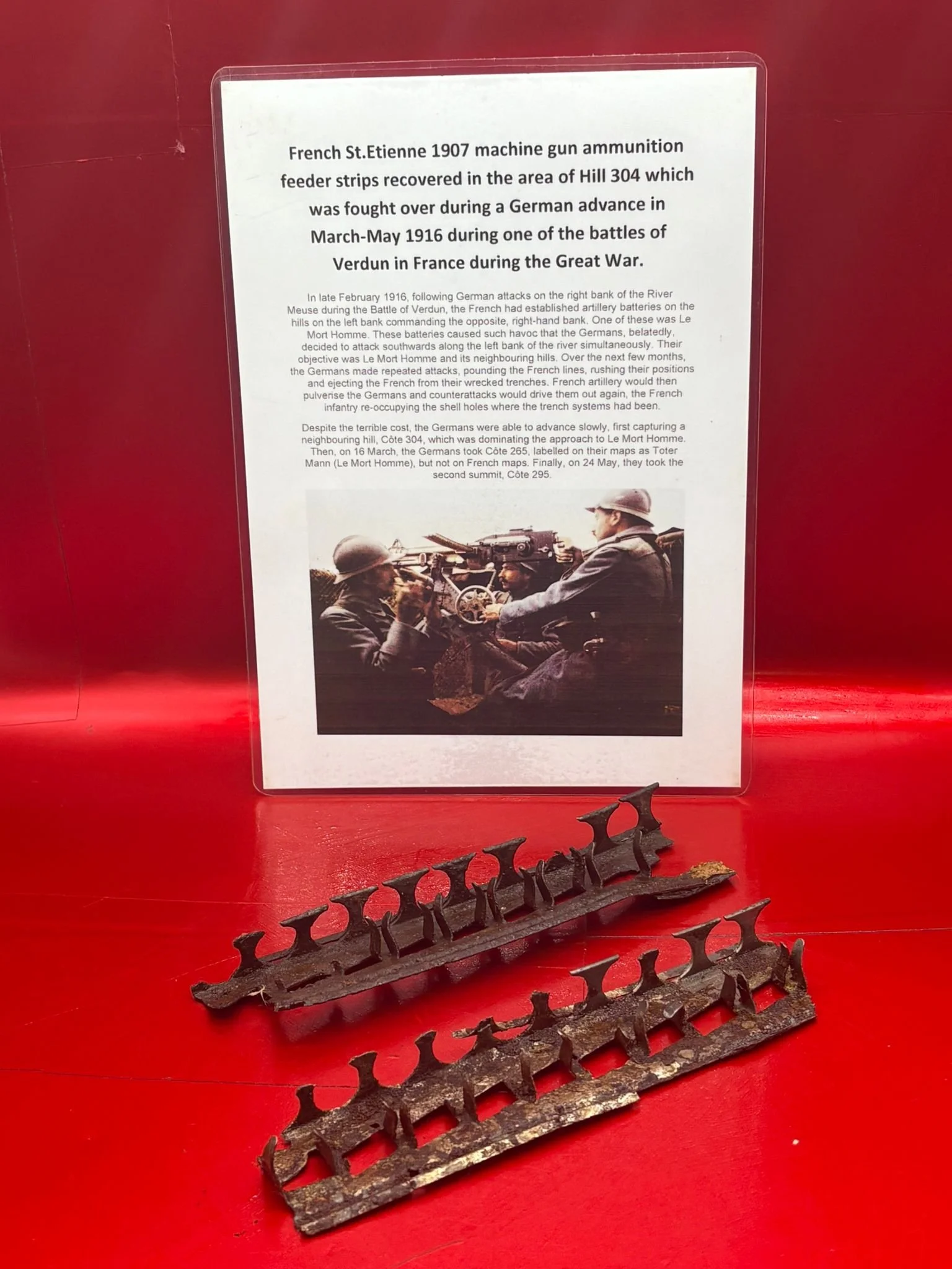 WhatsApp Image 2025-11-11 at 10.23.27.jpeg