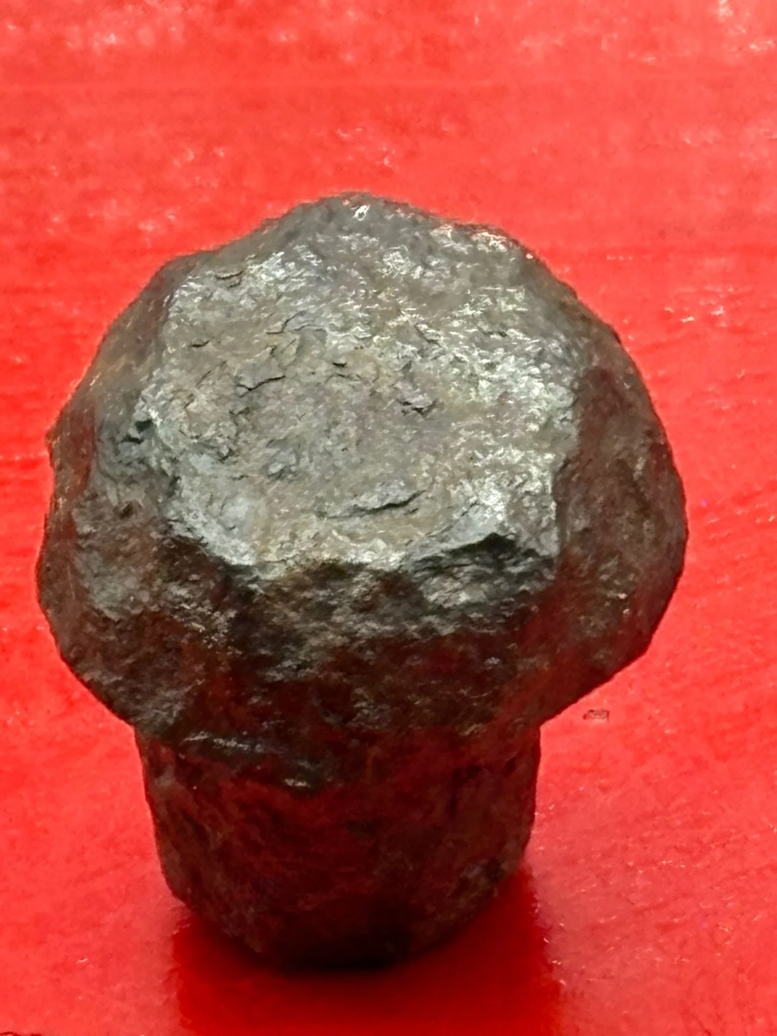 WhatsApp Image 2025-11-12 at 13.12.10.jpeg