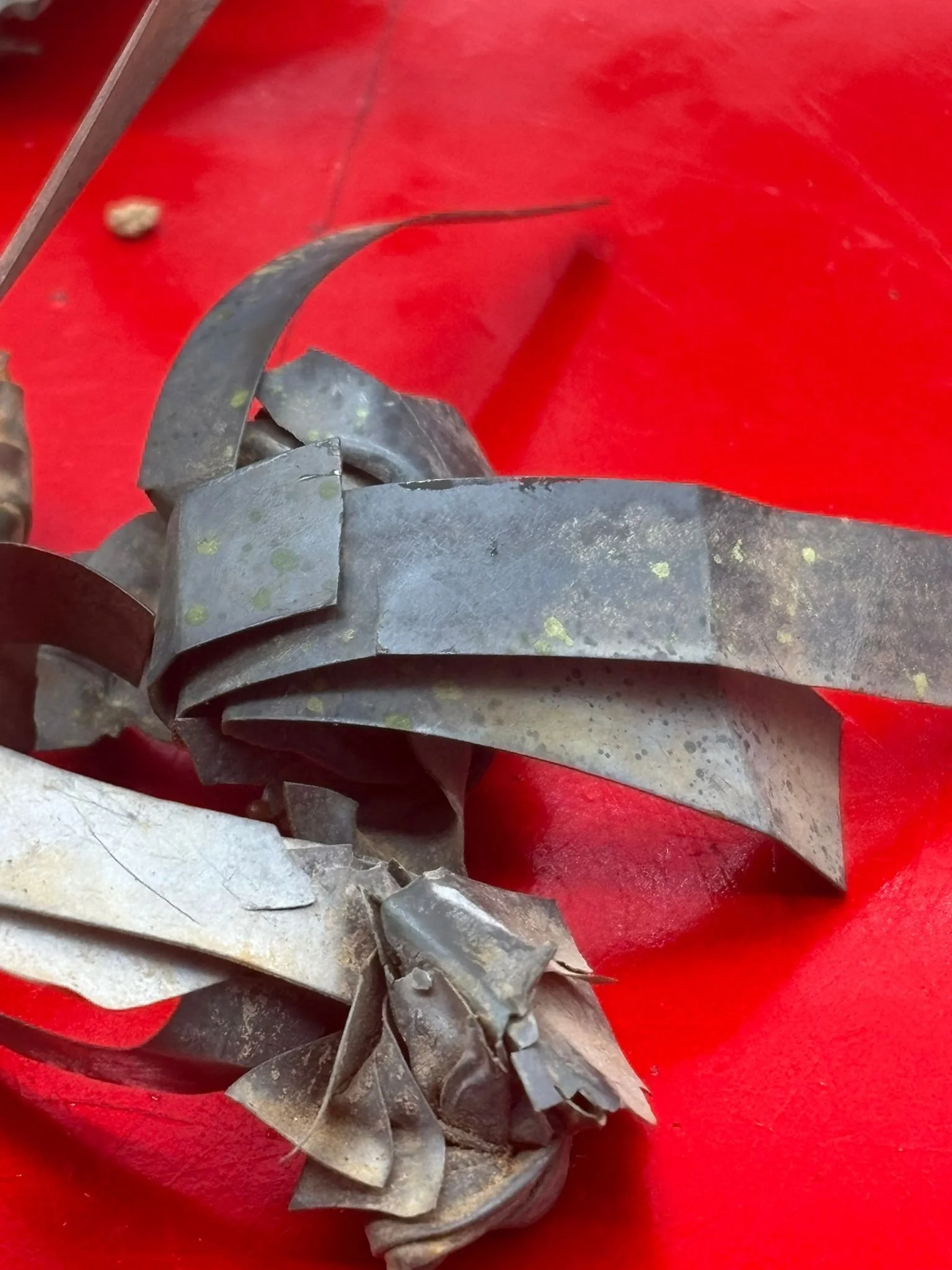 WhatsApp Image 2025-11-20 at 18.56.42 (2).jpeg