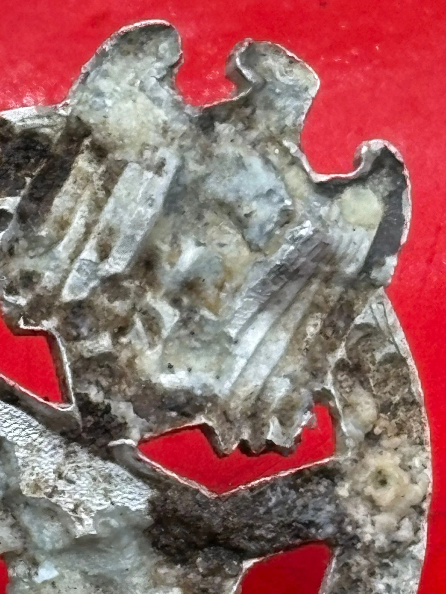 WhatsApp Image 2025-11-24 at 12.40.53 (5).jpeg