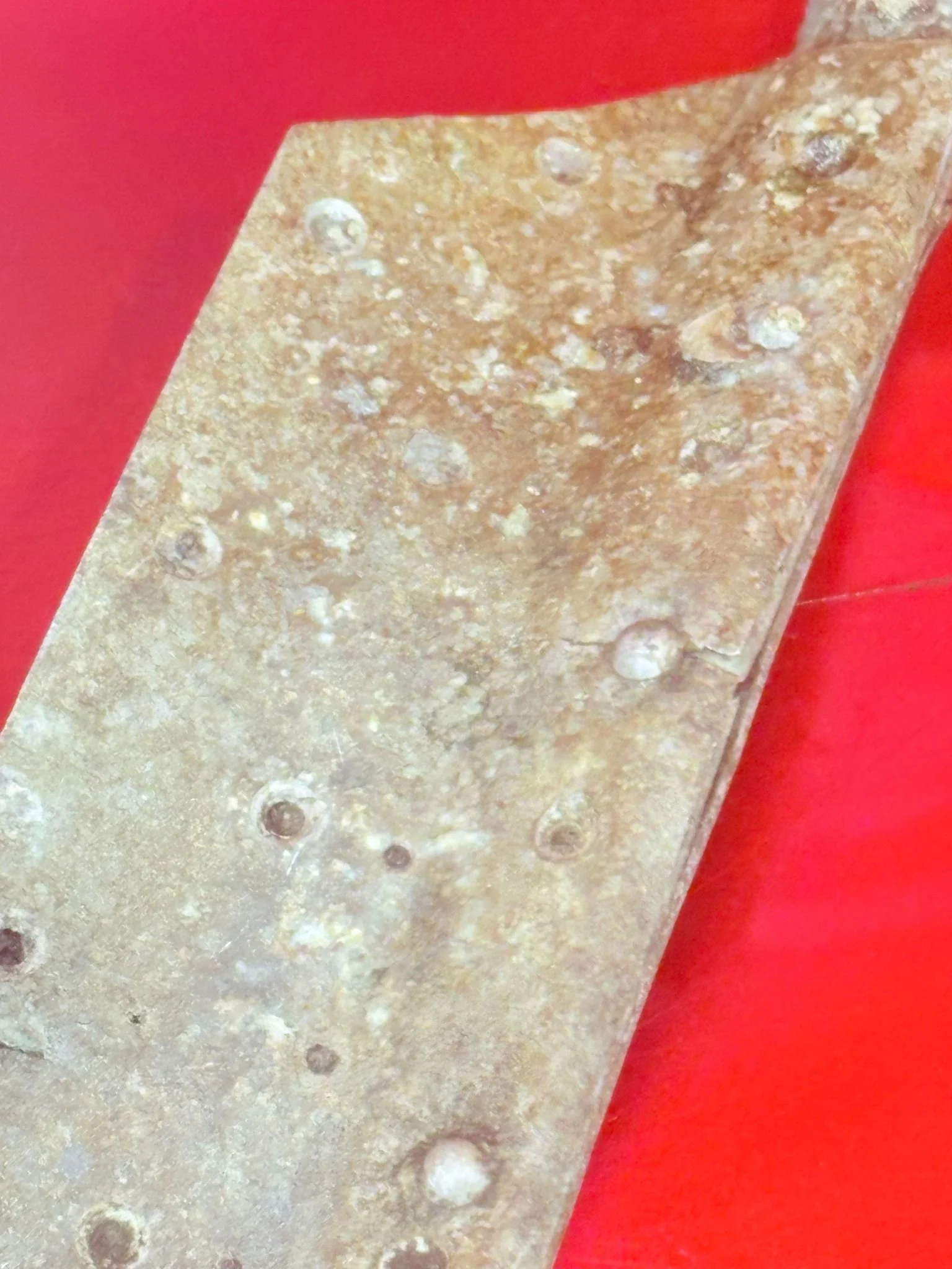 WhatsApp Image 2025-12-08 at 16.53.50 (5).jpeg