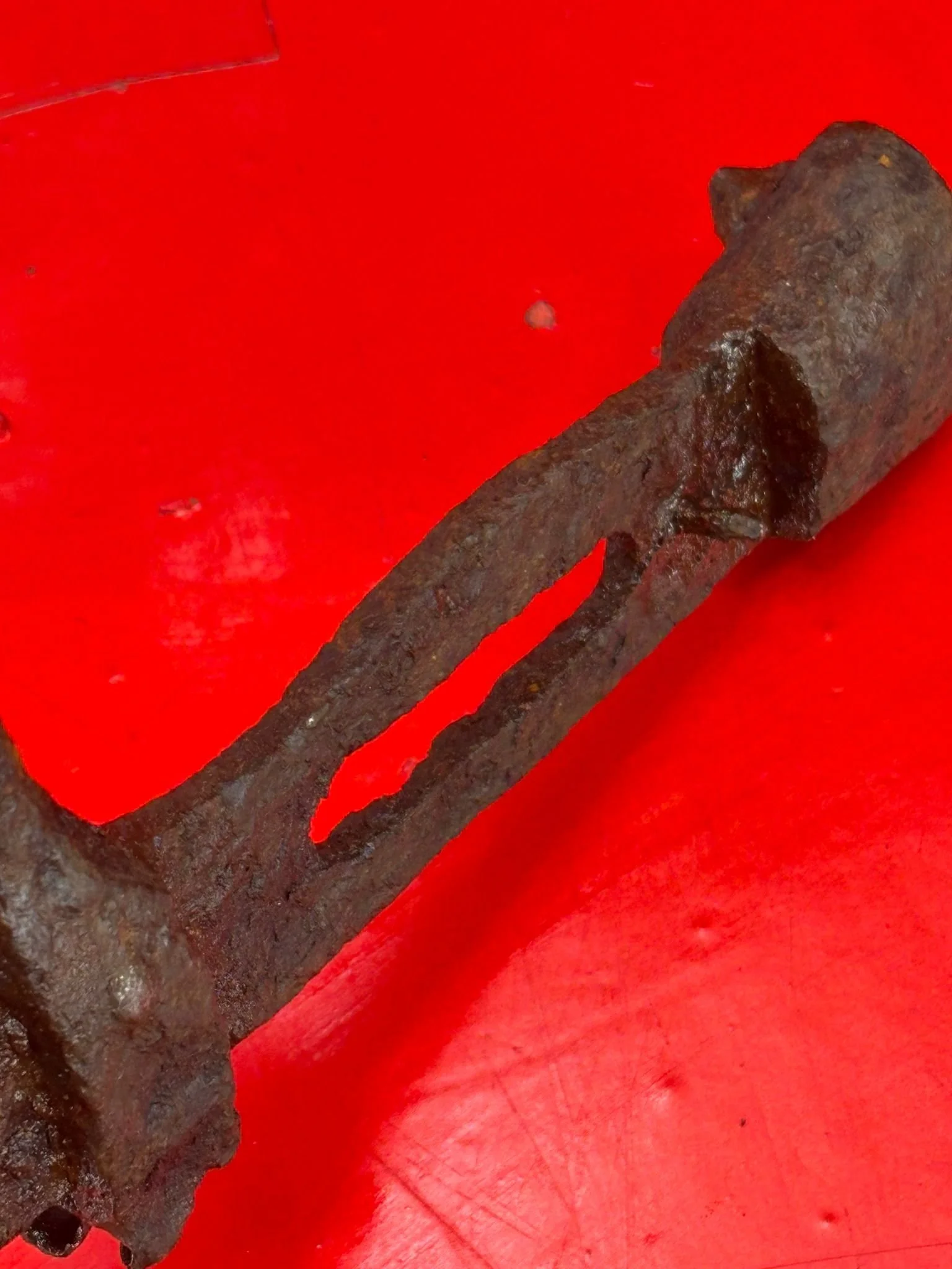 WhatsApp Image 2025-11-16 at 16.03.29 (3).jpeg