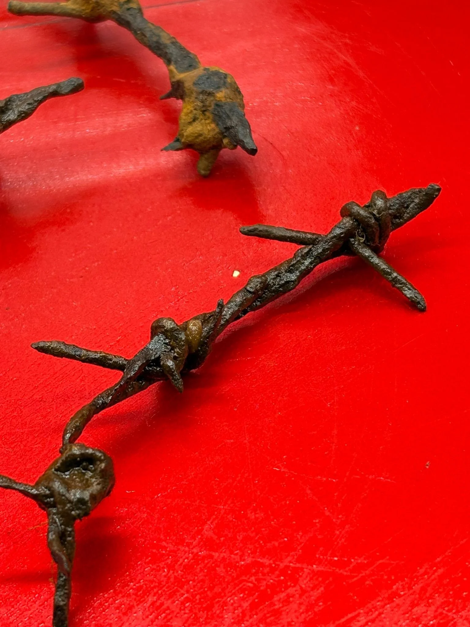 WhatsApp Image 2025-11-12 at 13.17.10 (1).jpeg