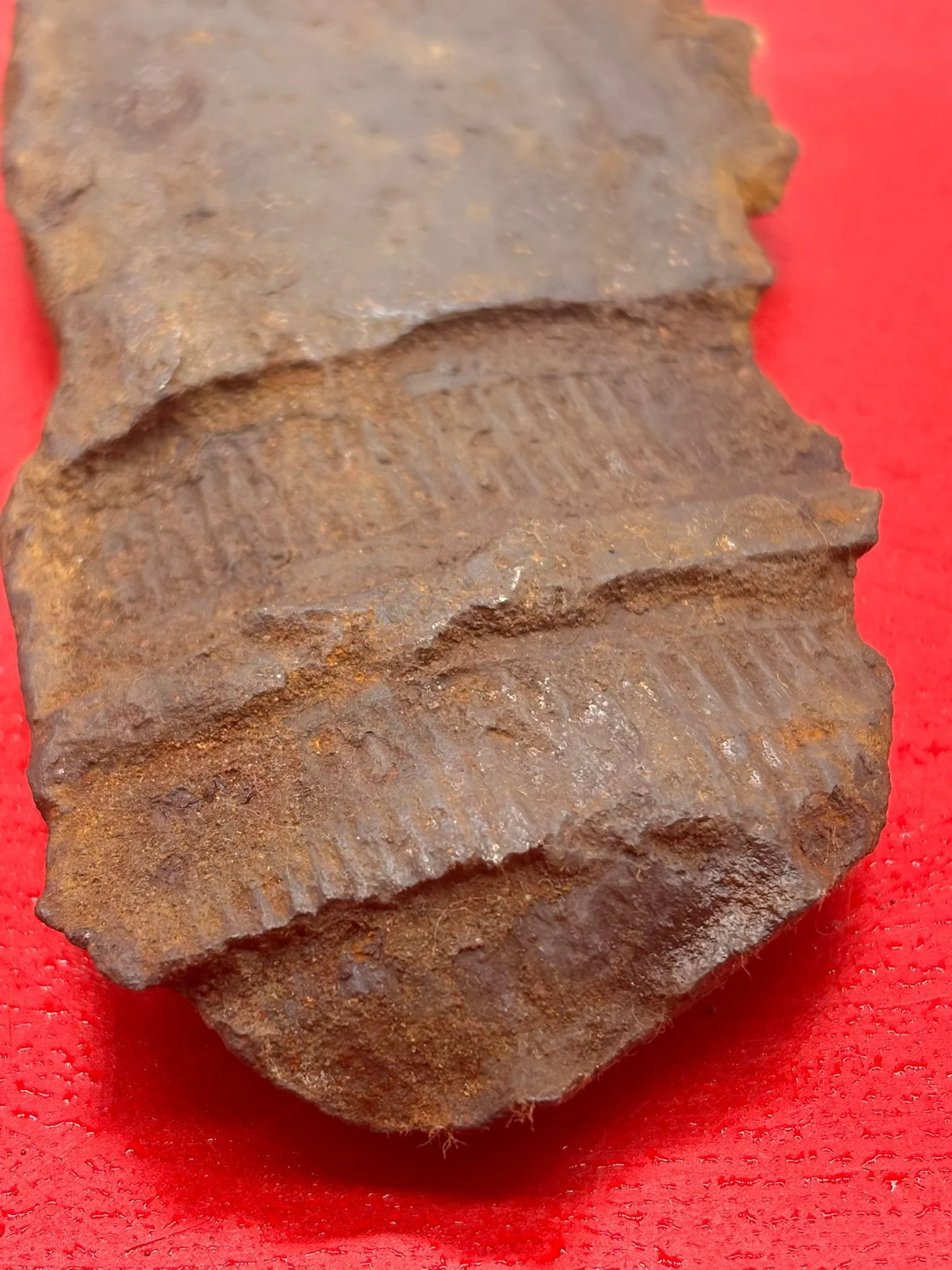 WhatsApp Image 2025-11-18 at 15.10.48 (2).jpeg