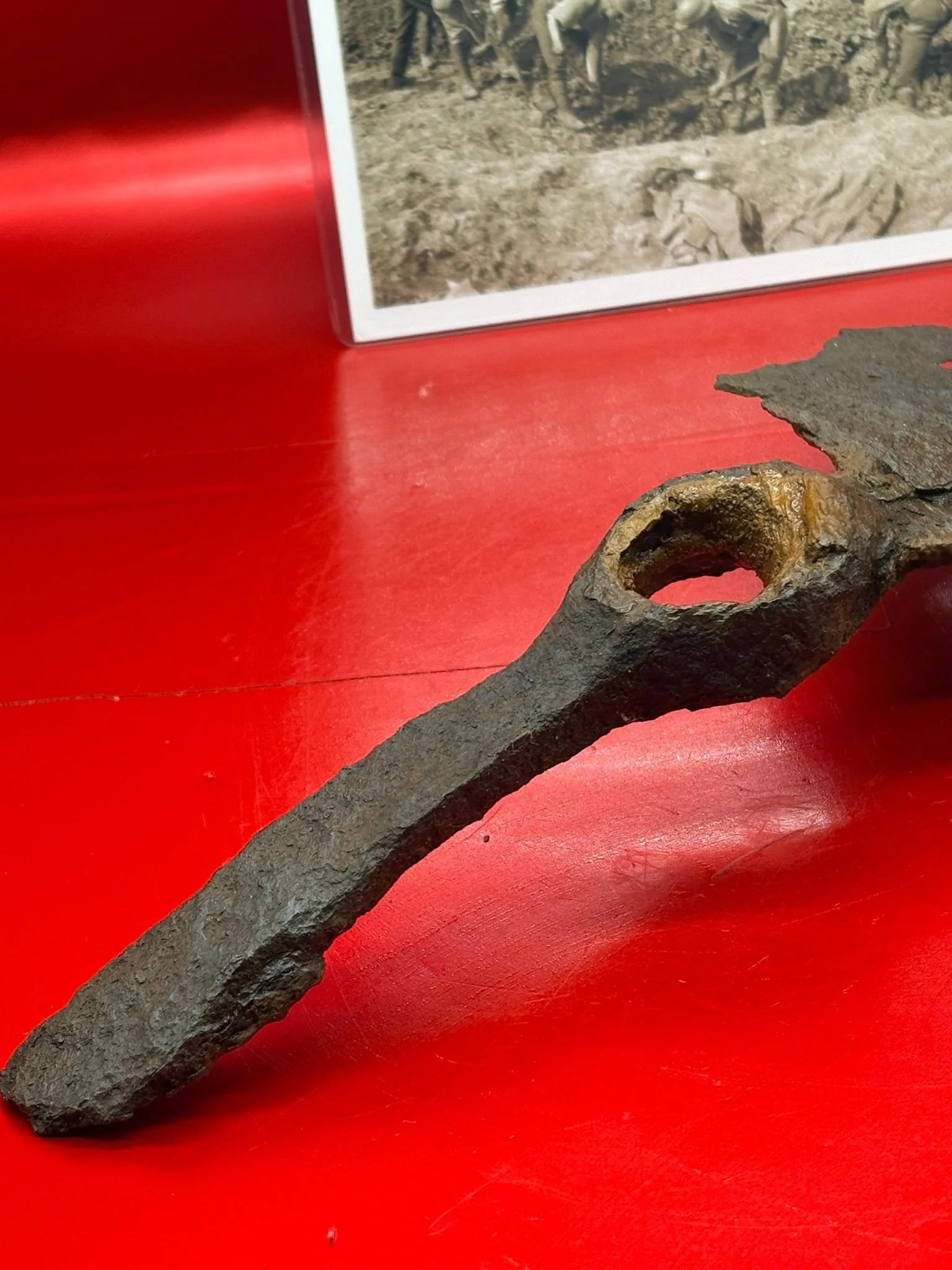 WhatsApp Image 2025-11-12 at 14.55.50 (5).jpeg