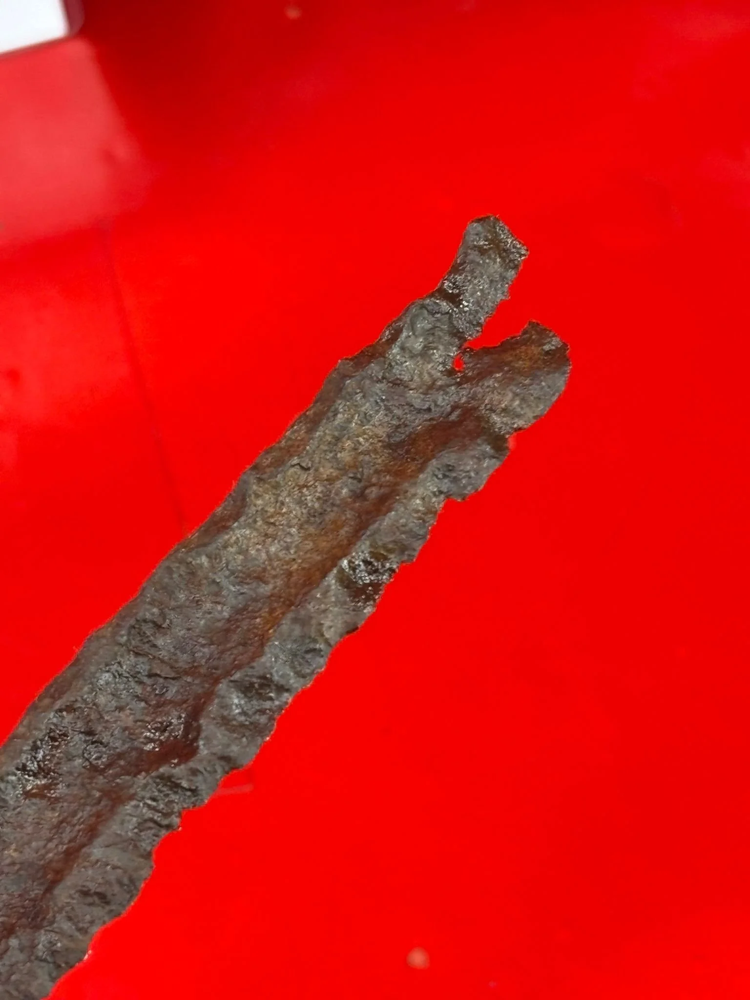 WhatsApp Image 2025-11-16 at 16.03.29 (4).jpeg