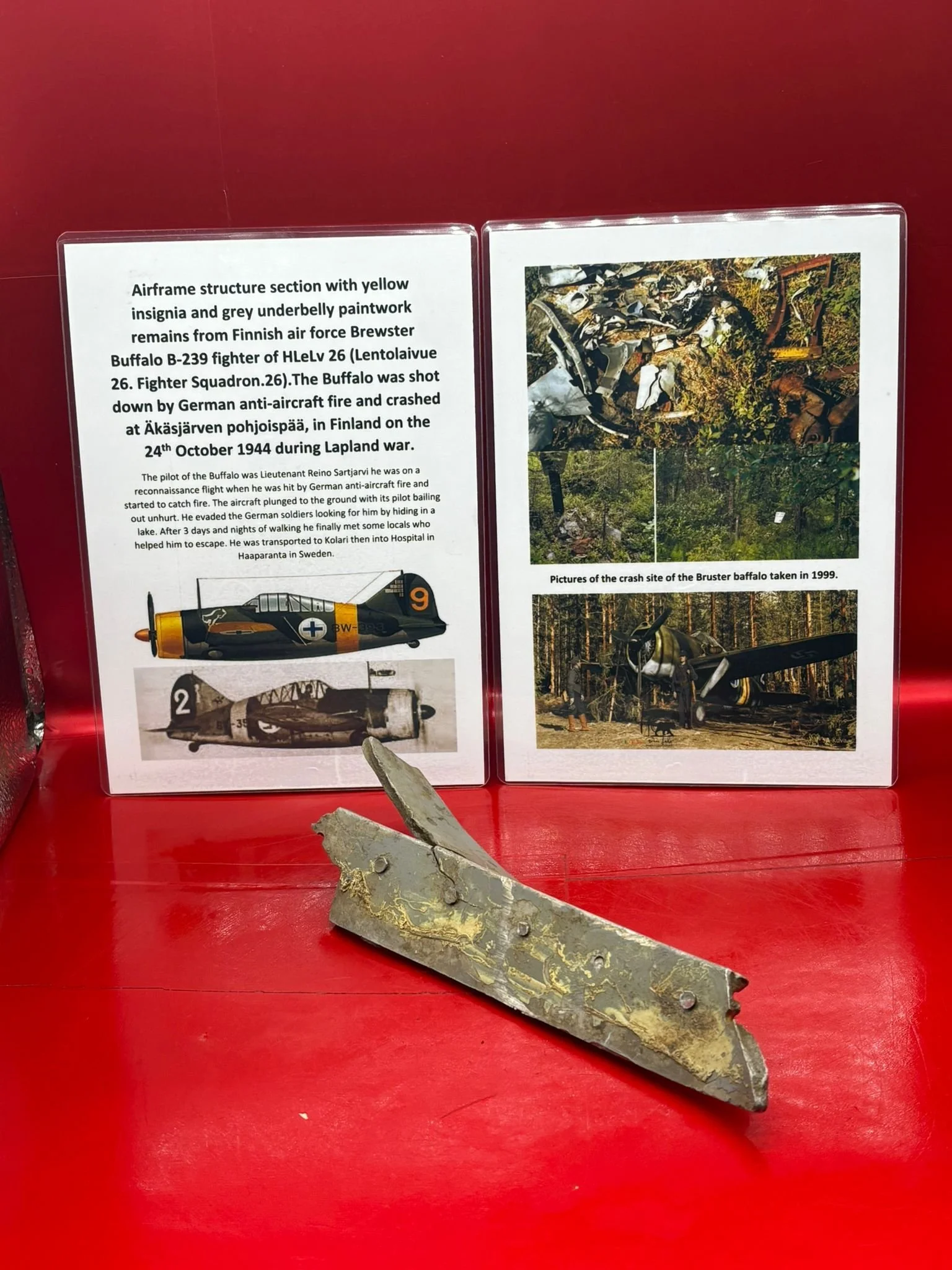 WhatsApp Image 2025-12-09 at 14.05.40.jpeg