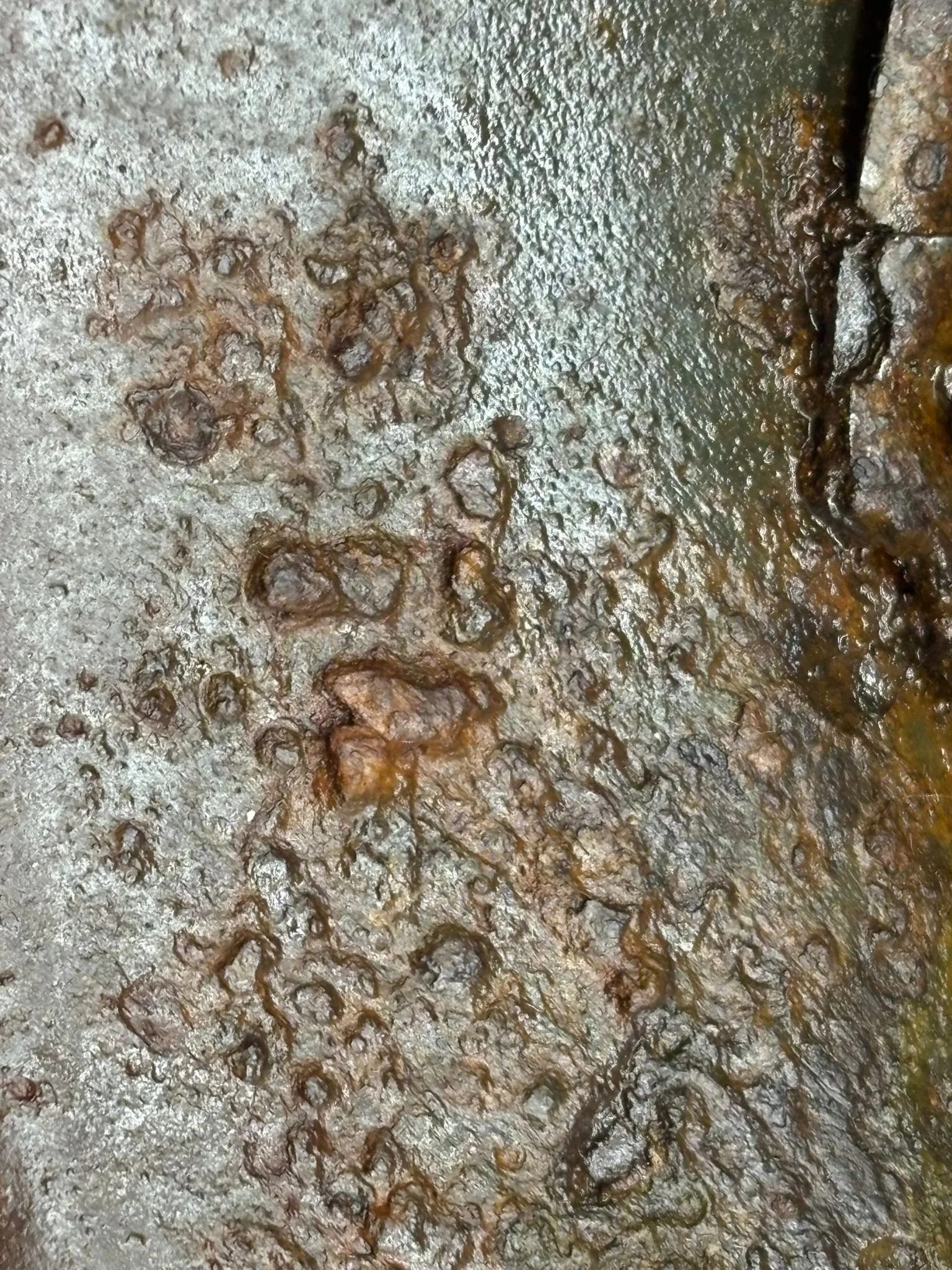 WhatsApp Image 2025-11-06 at 20.42.43 (1).jpeg