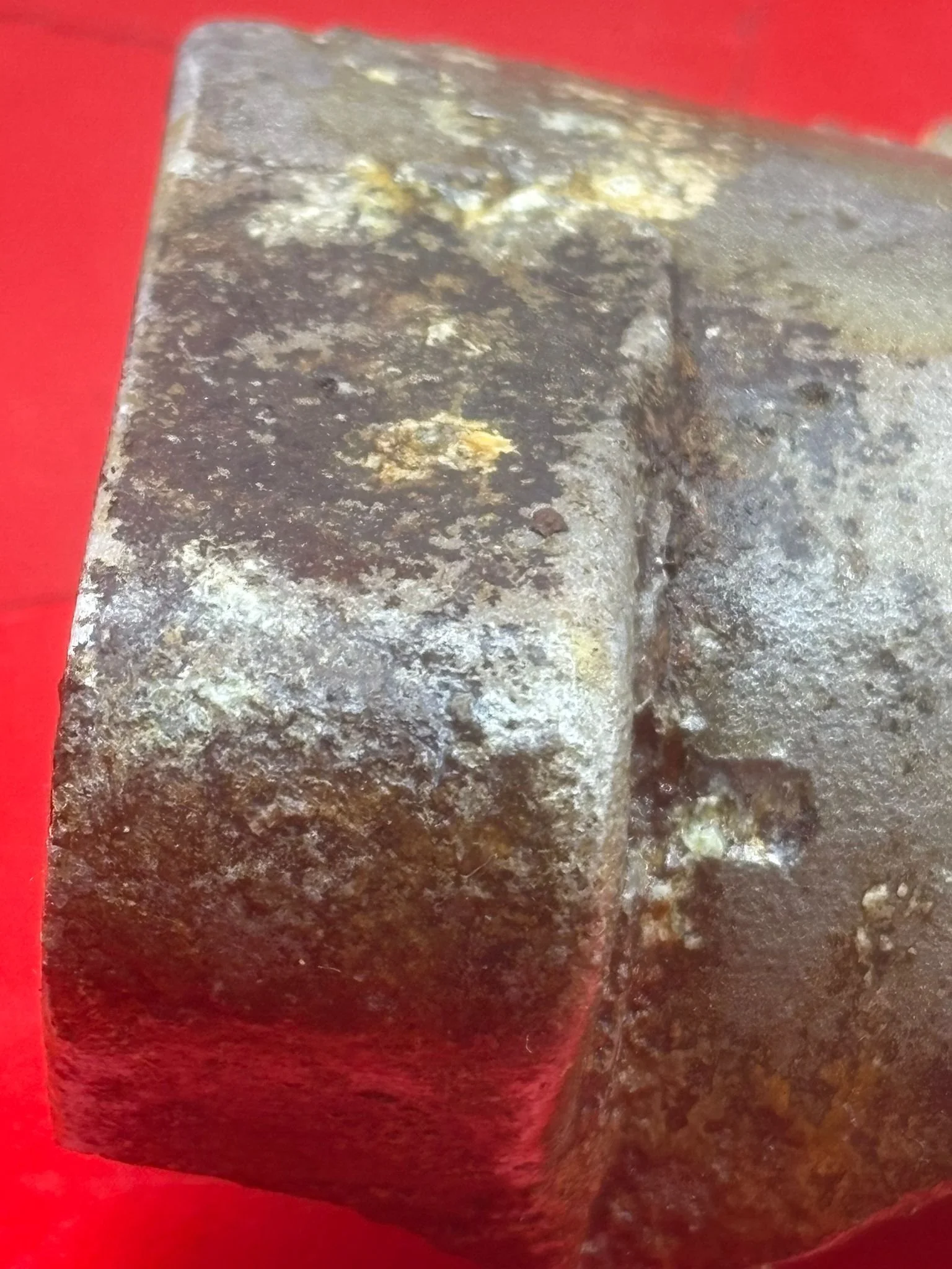 WhatsApp Image 2026-02-13 at 16.14.13.jpeg