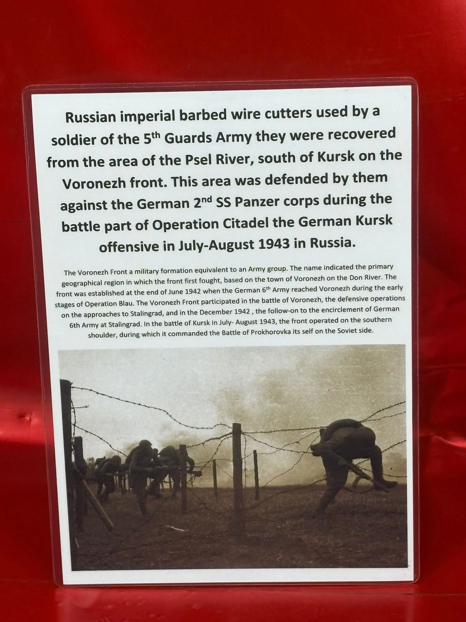 WhatsApp Image 2025-11-18 at 15.16.09 (6).jpeg