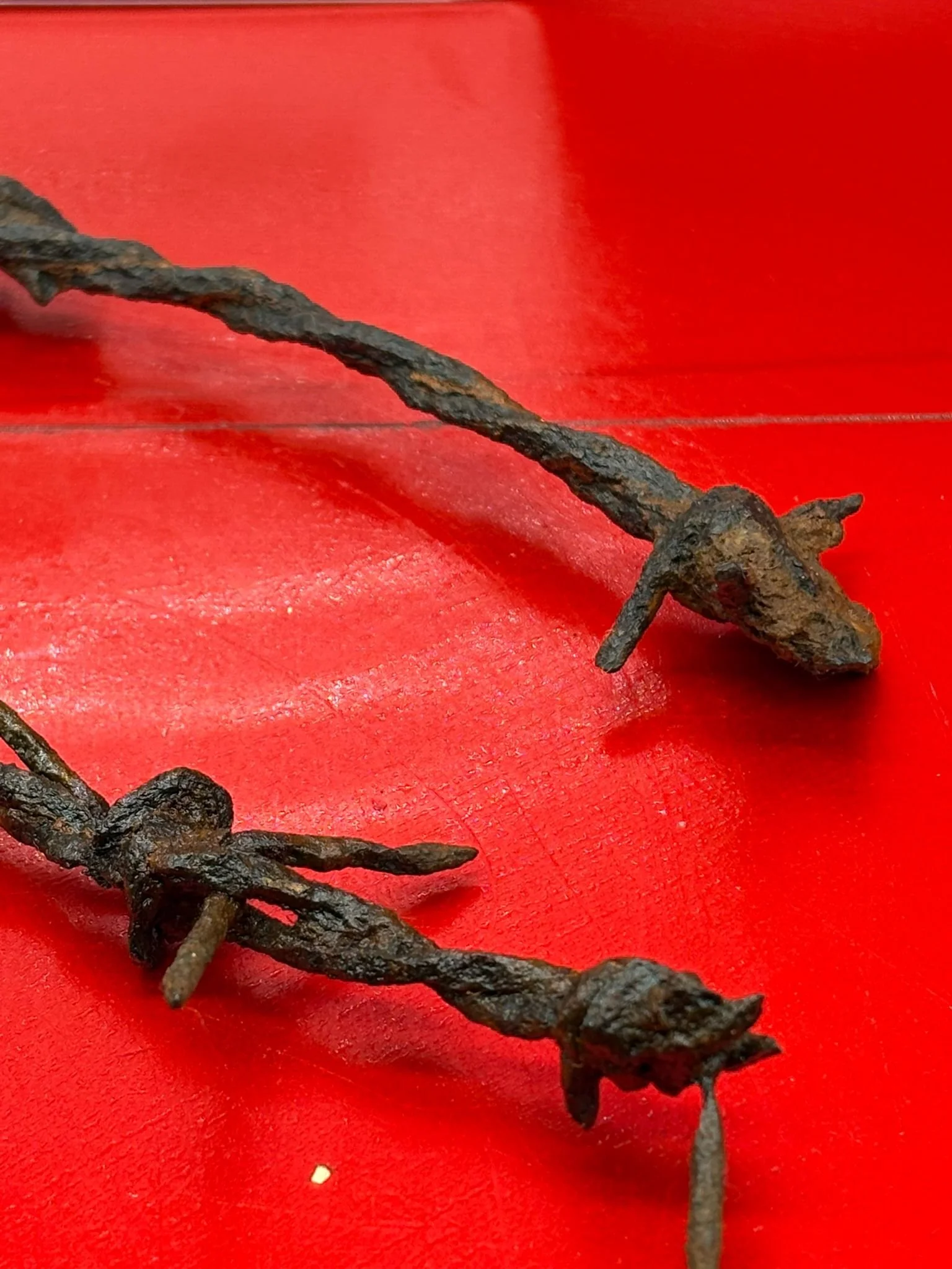 WhatsApp Image 2025-11-12 at 13.16.47 (1).jpeg