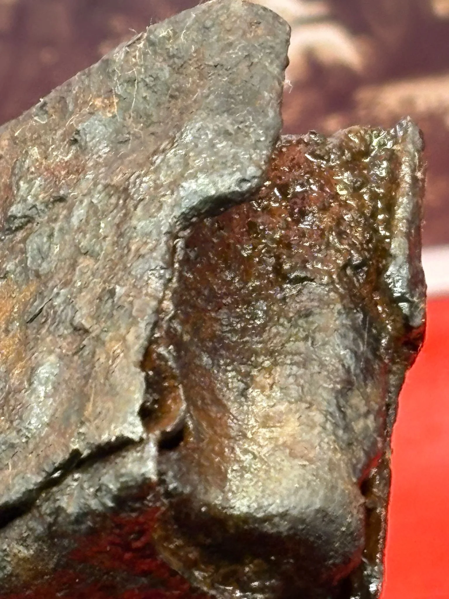 WhatsApp Image 2025-11-24 at 12.49.50 (2).jpeg